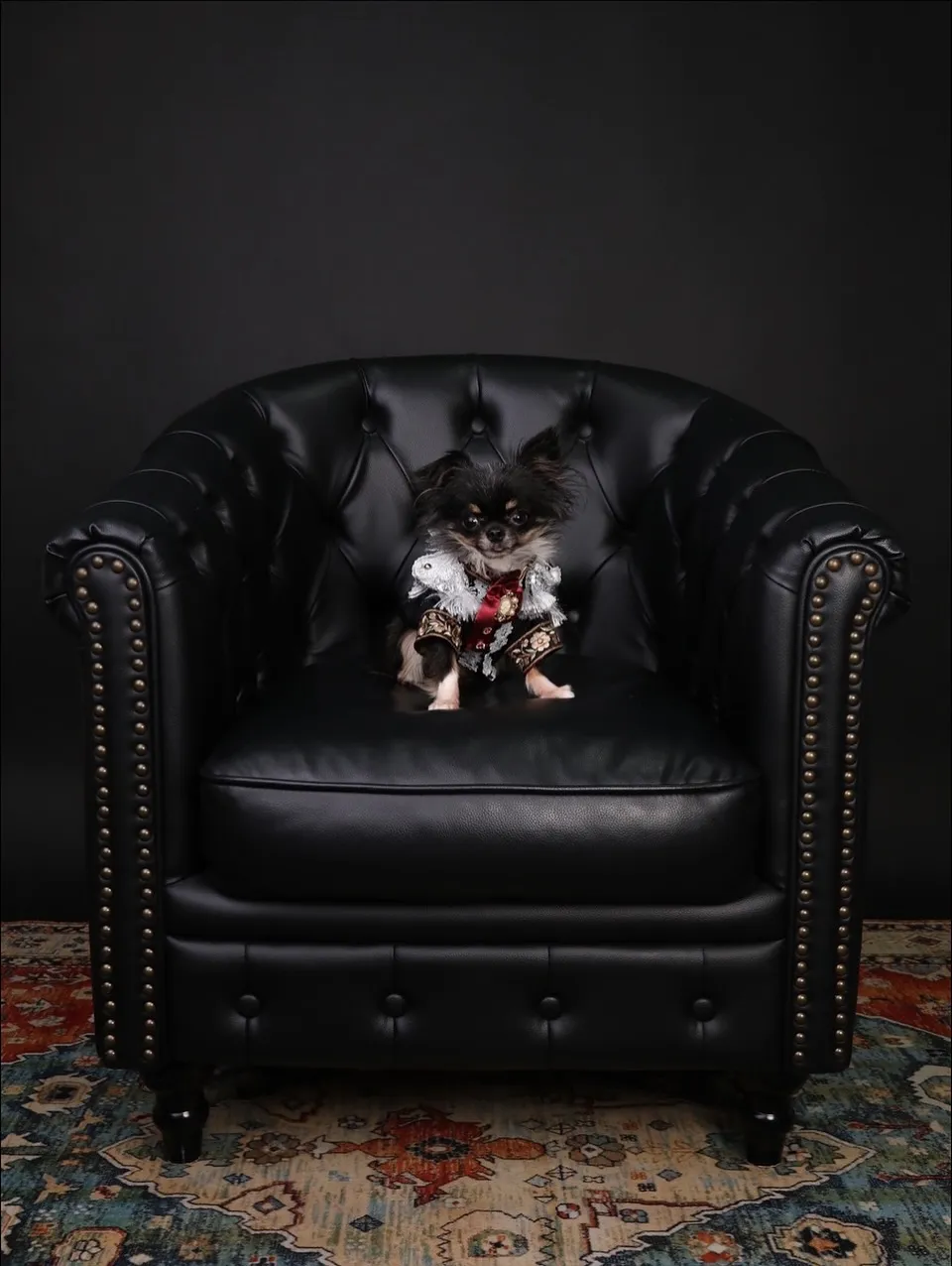 【BLACK Backdrop SELF photo -BL...