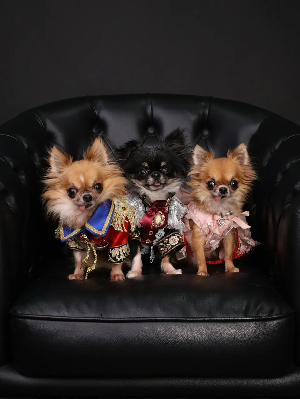 【BLACK Backdrop SELF photo -BL...