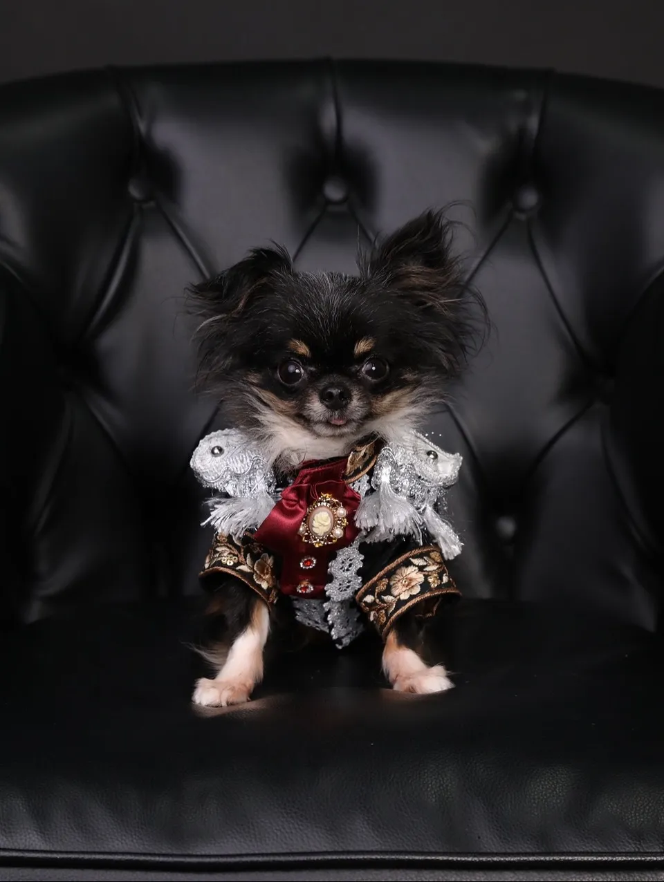 【BLACK Backdrop SELF photo -BL...