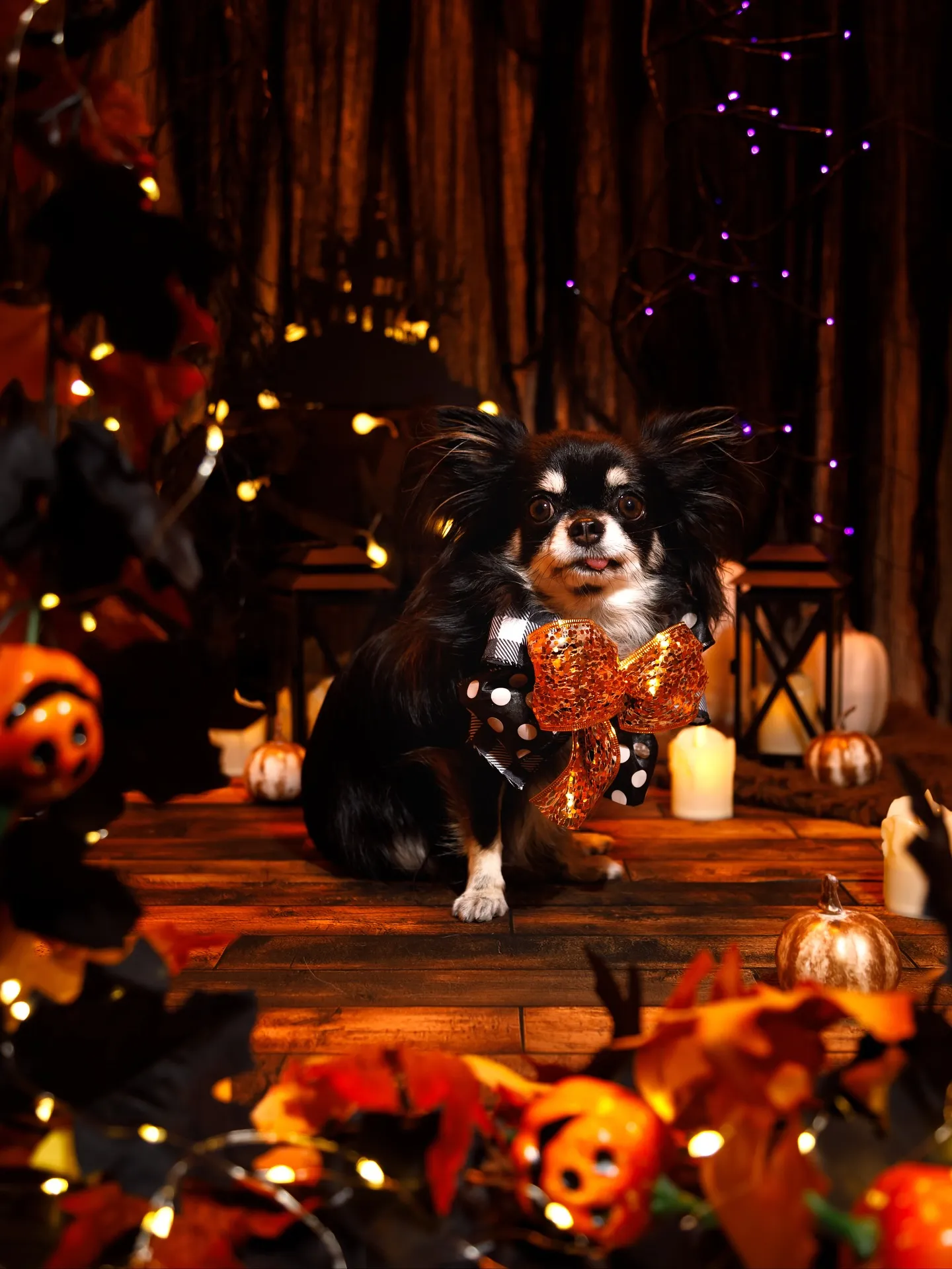 【Halloween🎃2025 -Little Devil ...