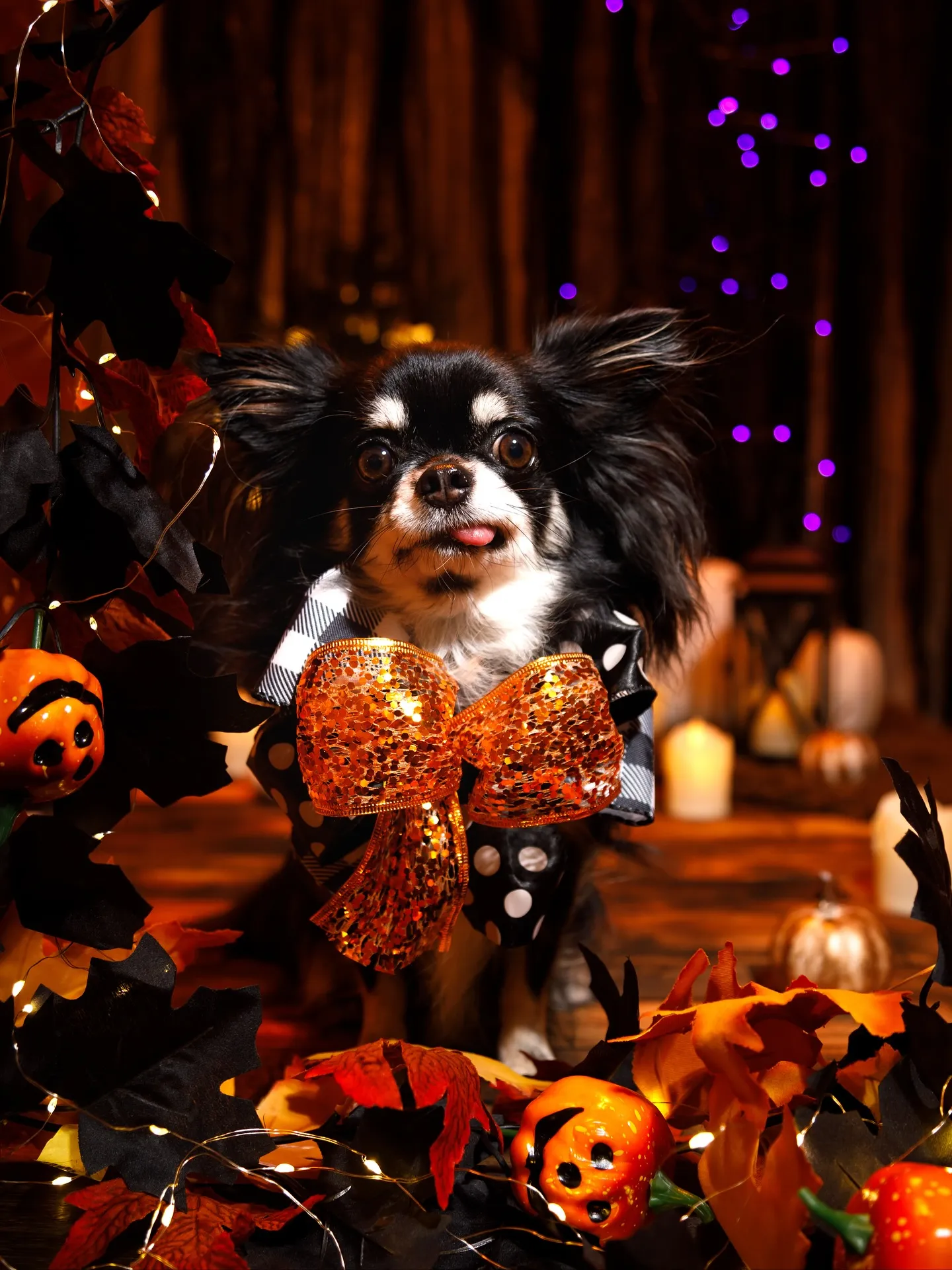 【Halloween🎃2025 -Little Devil ...