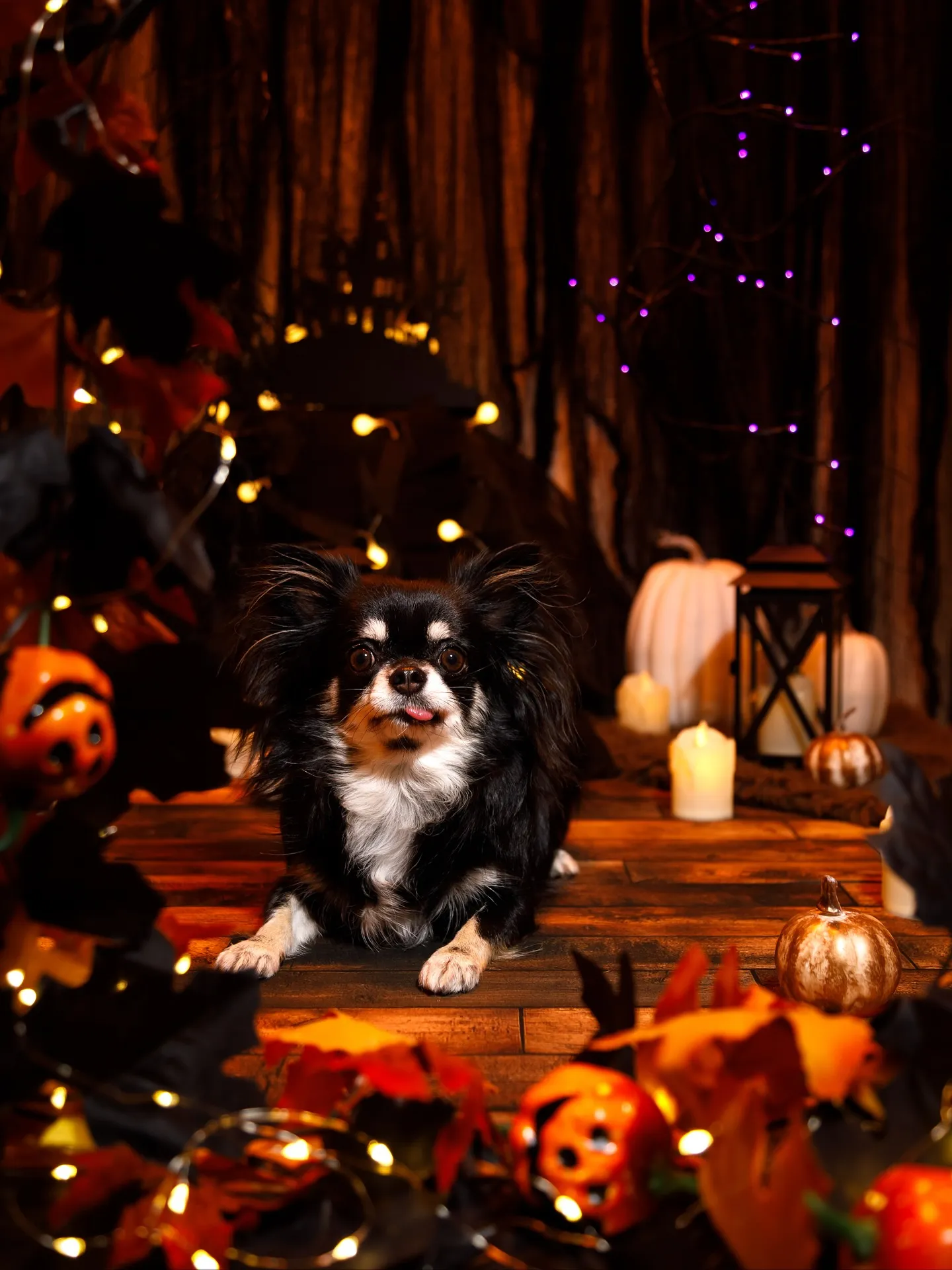 【Halloween🎃2025 -Little Devil ...