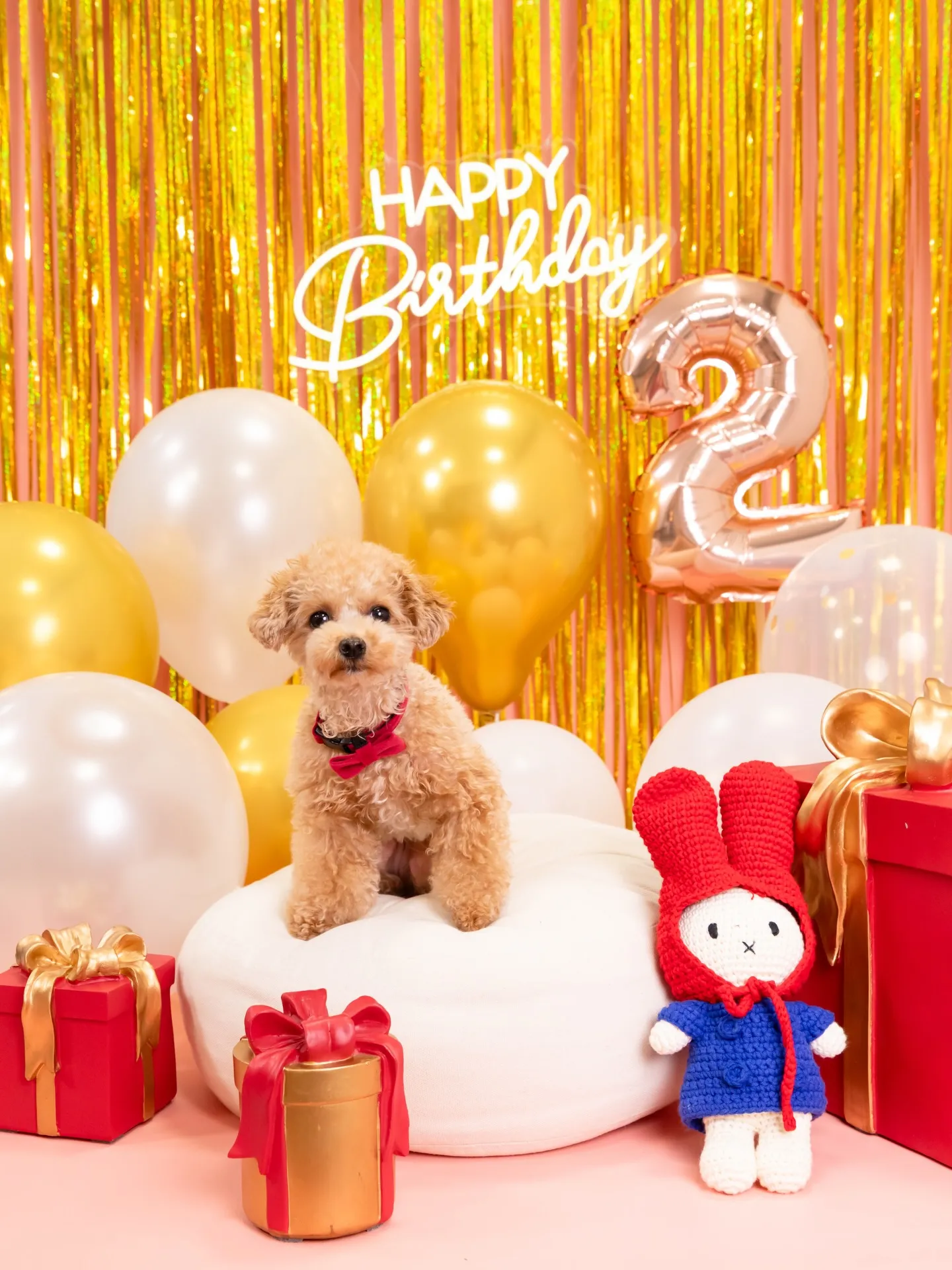 【1st Birthday🎉Photoshoot -ピンク-...