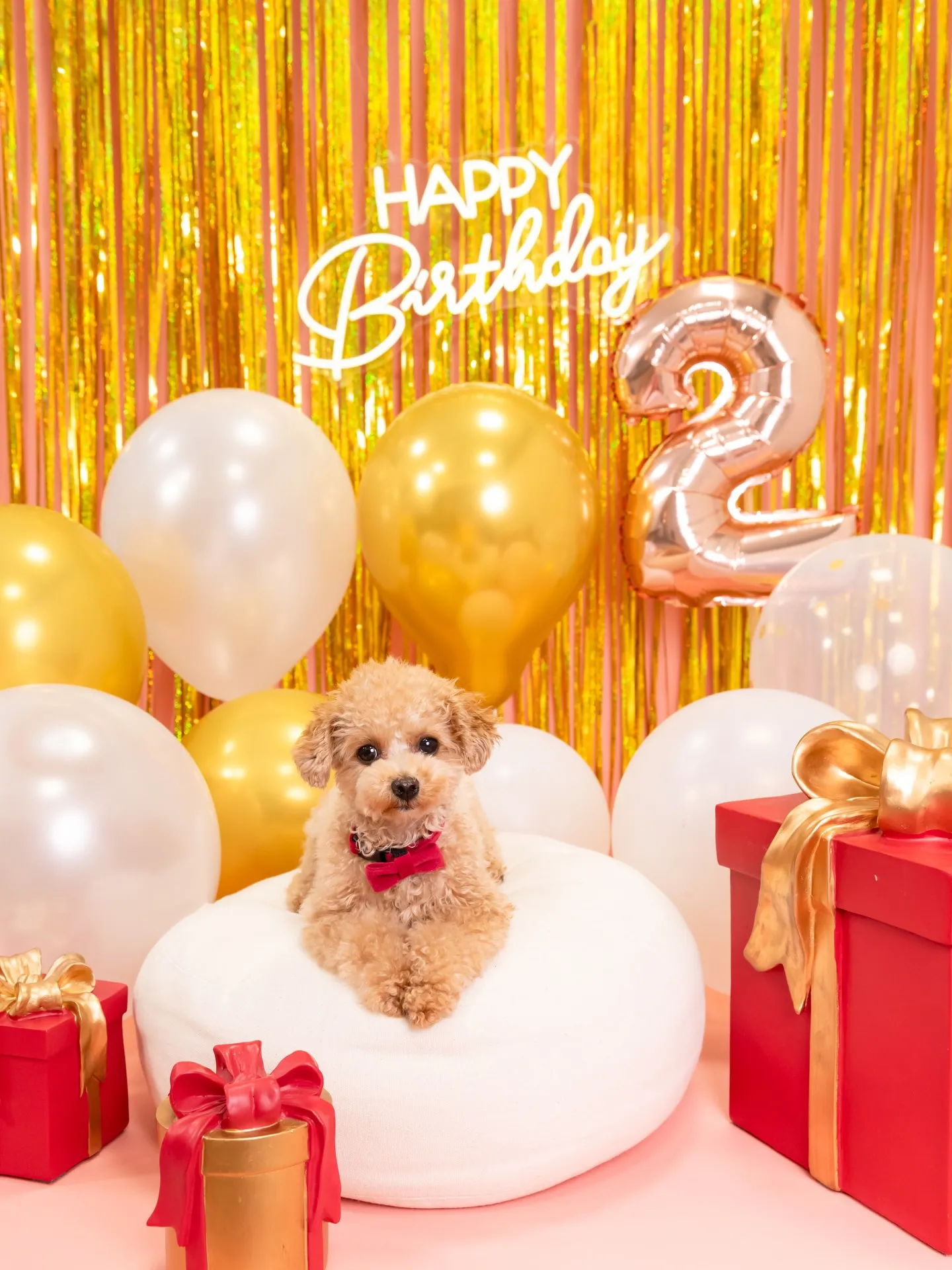 【1st Birthday🎉Photoshoot -ピンク-...