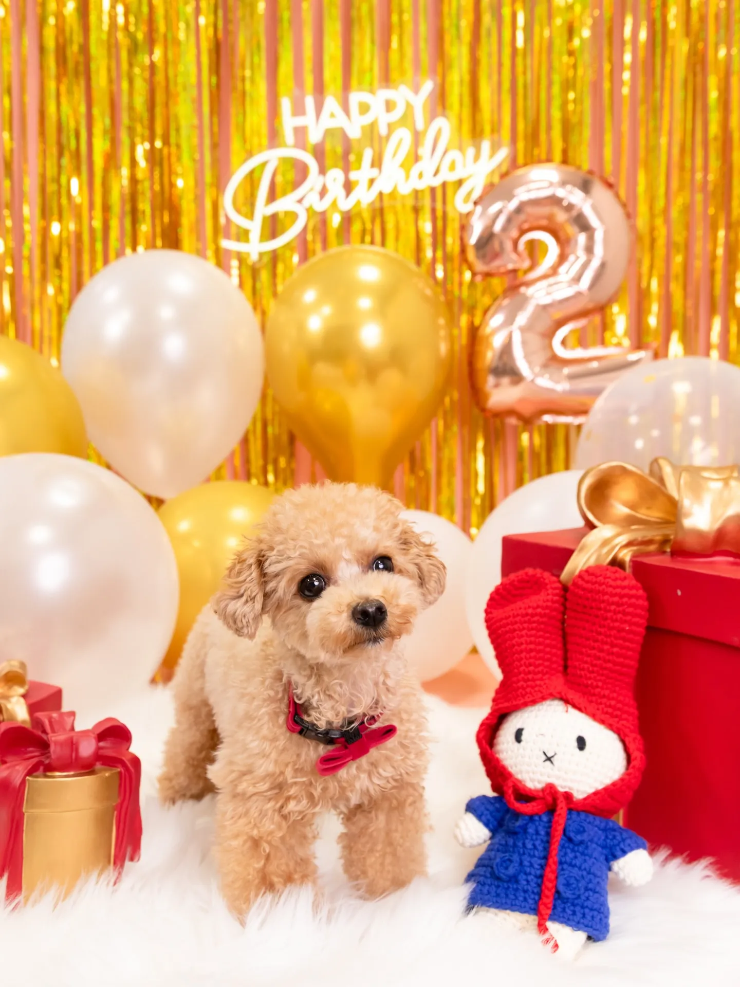 【1st Birthday🎉Photoshoot -ピンク-...