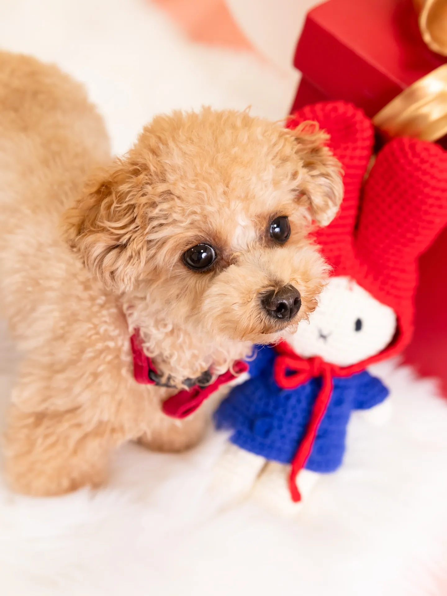 【1st Birthday🎉Photoshoot -ピンク-...