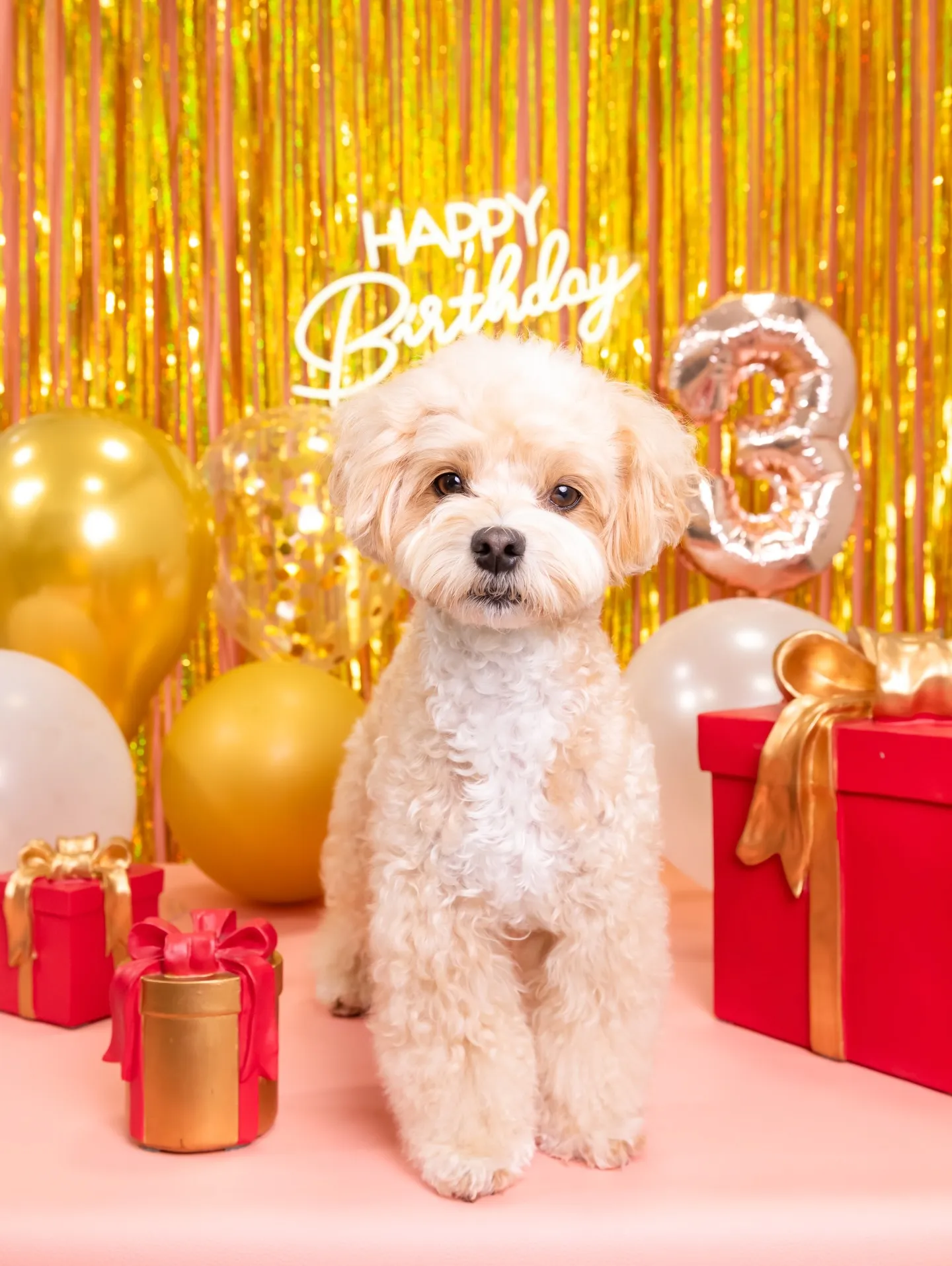 【Birthday🎉Photoshoot -ピンク-】