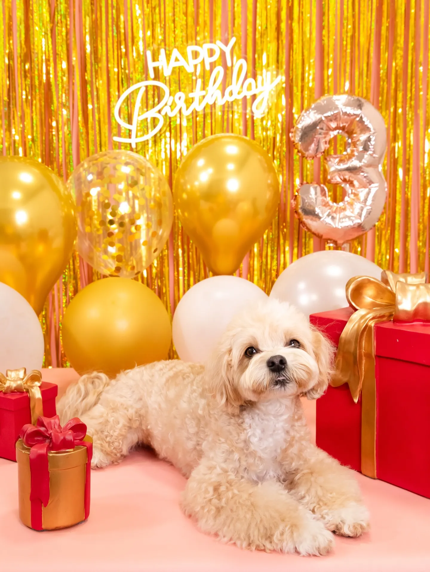 【Birthday🎉Photoshoot -ピンク-】