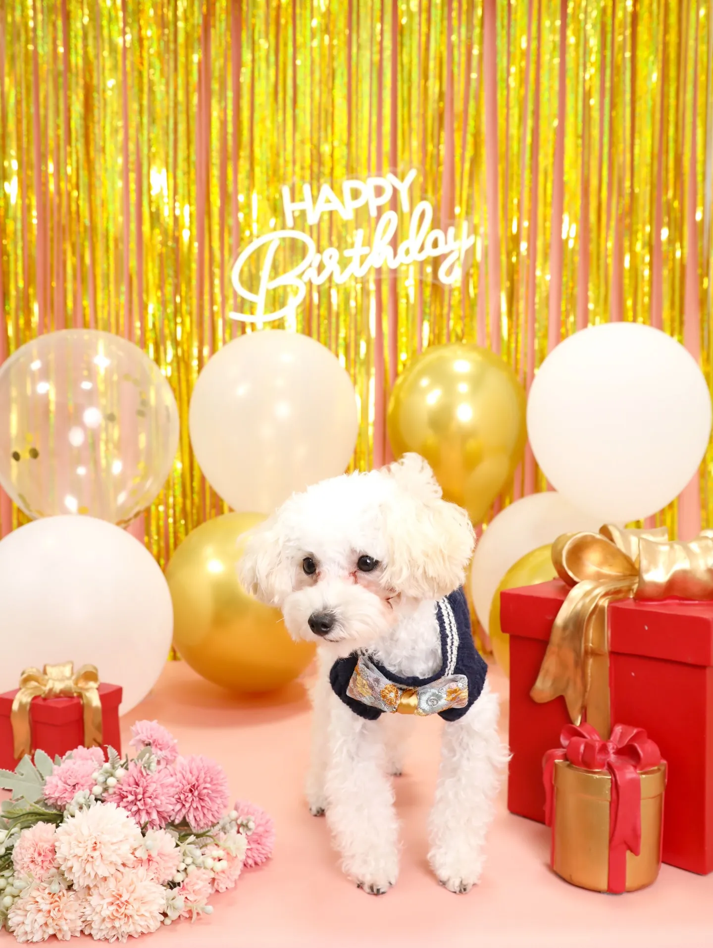 【Birthday🎉Photoshoot -ピンク-】