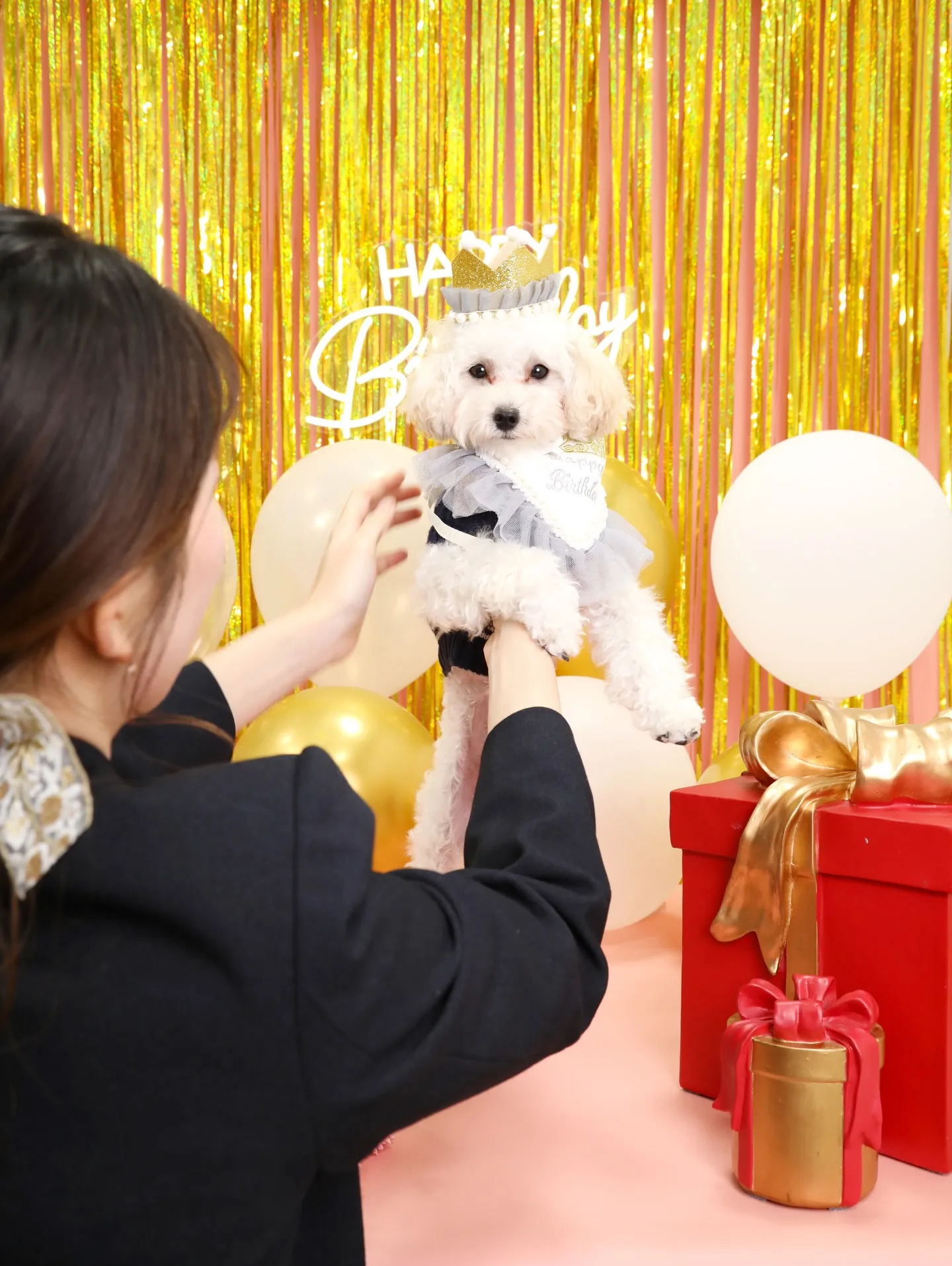 【Birthday🎉Photoshoot -ピンク-】