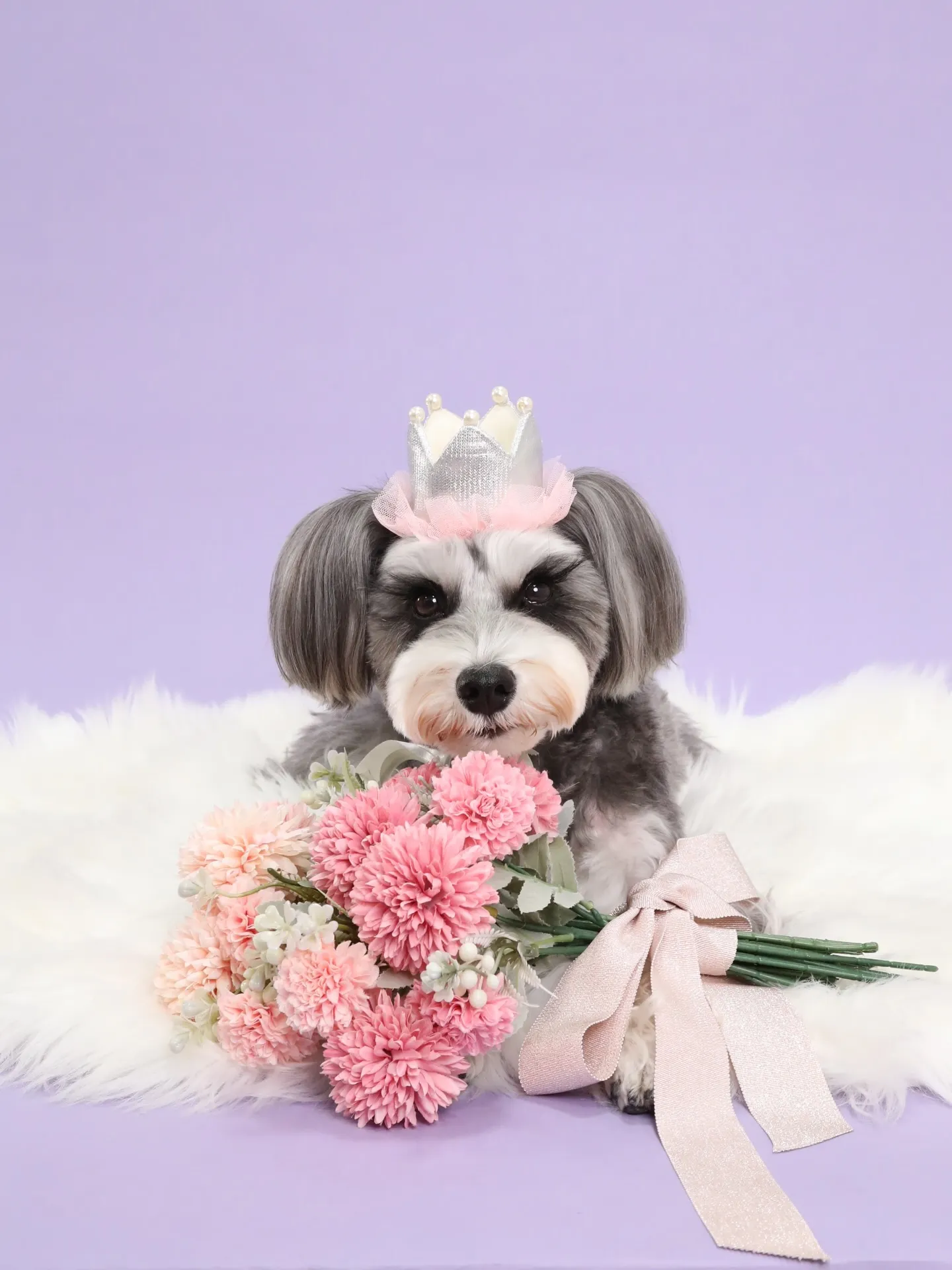 【BIRTHDAY Photoshoot -PURPLE-】