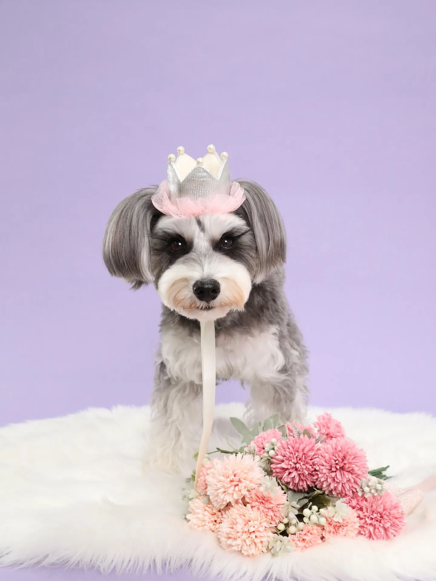 【BIRTHDAY Photoshoot -PURPLE-】