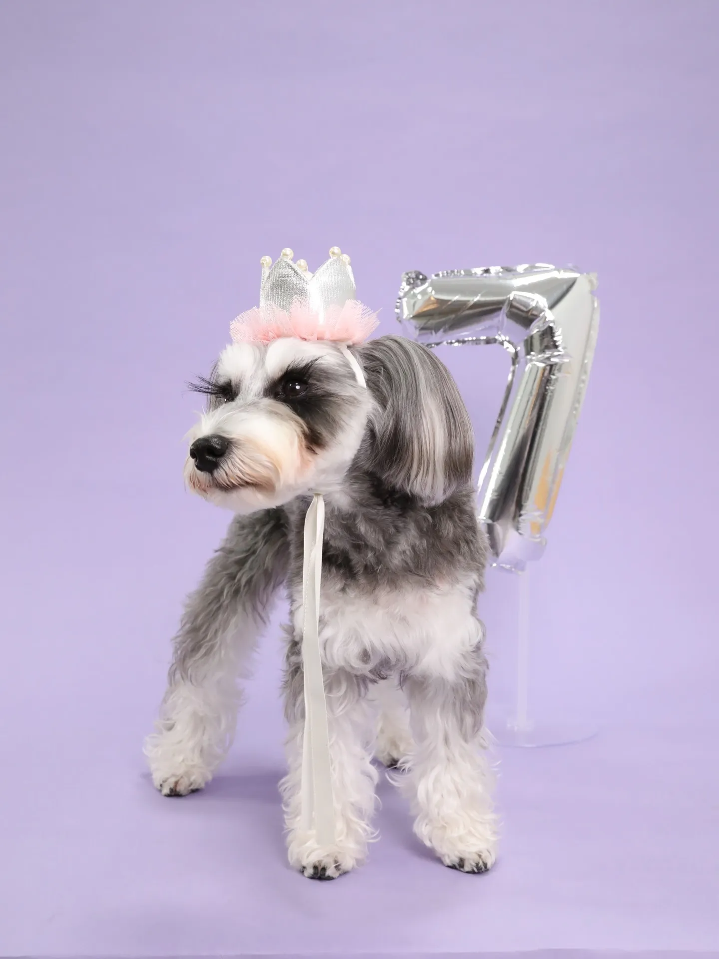 【BIRTHDAY Photoshoot -PURPLE-】