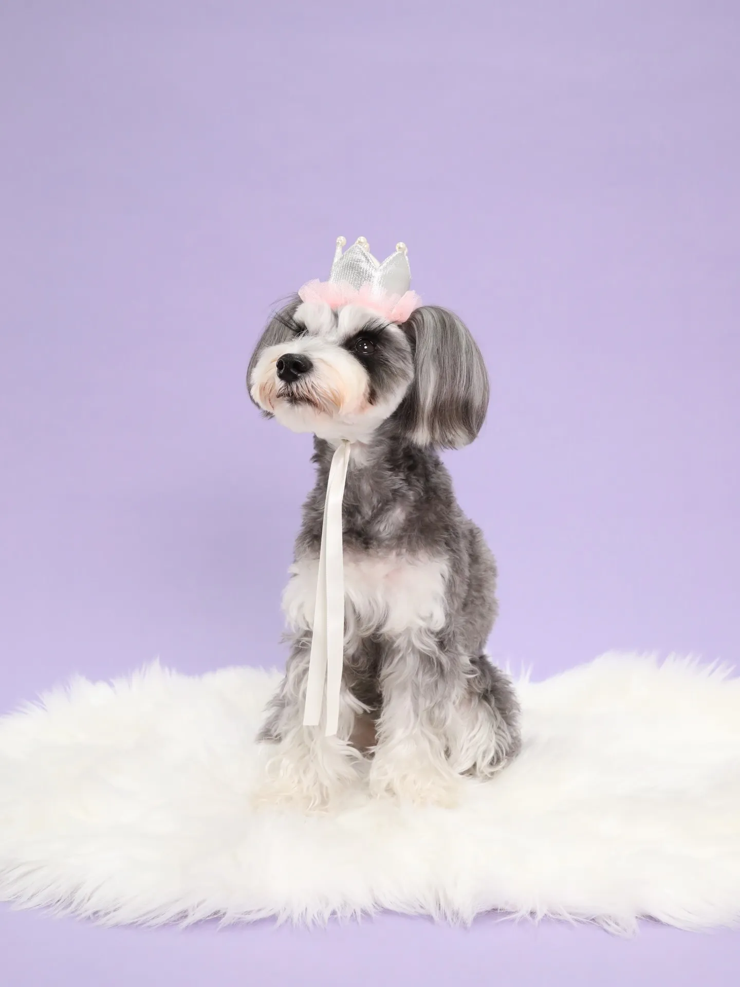 【BIRTHDAY Photoshoot -PURPLE-】