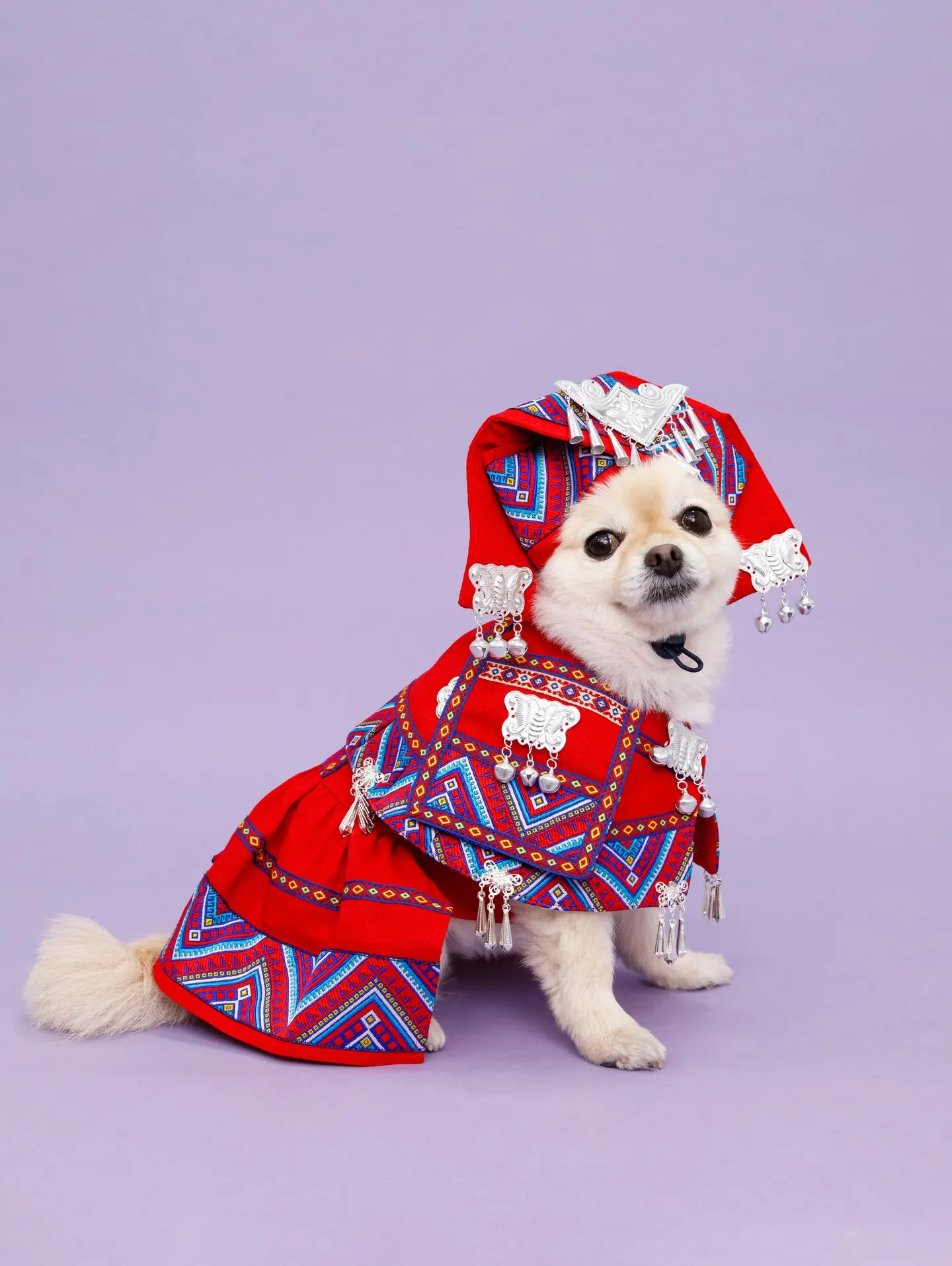 【BIRTHDAY Photoshoot -PURPLE-】