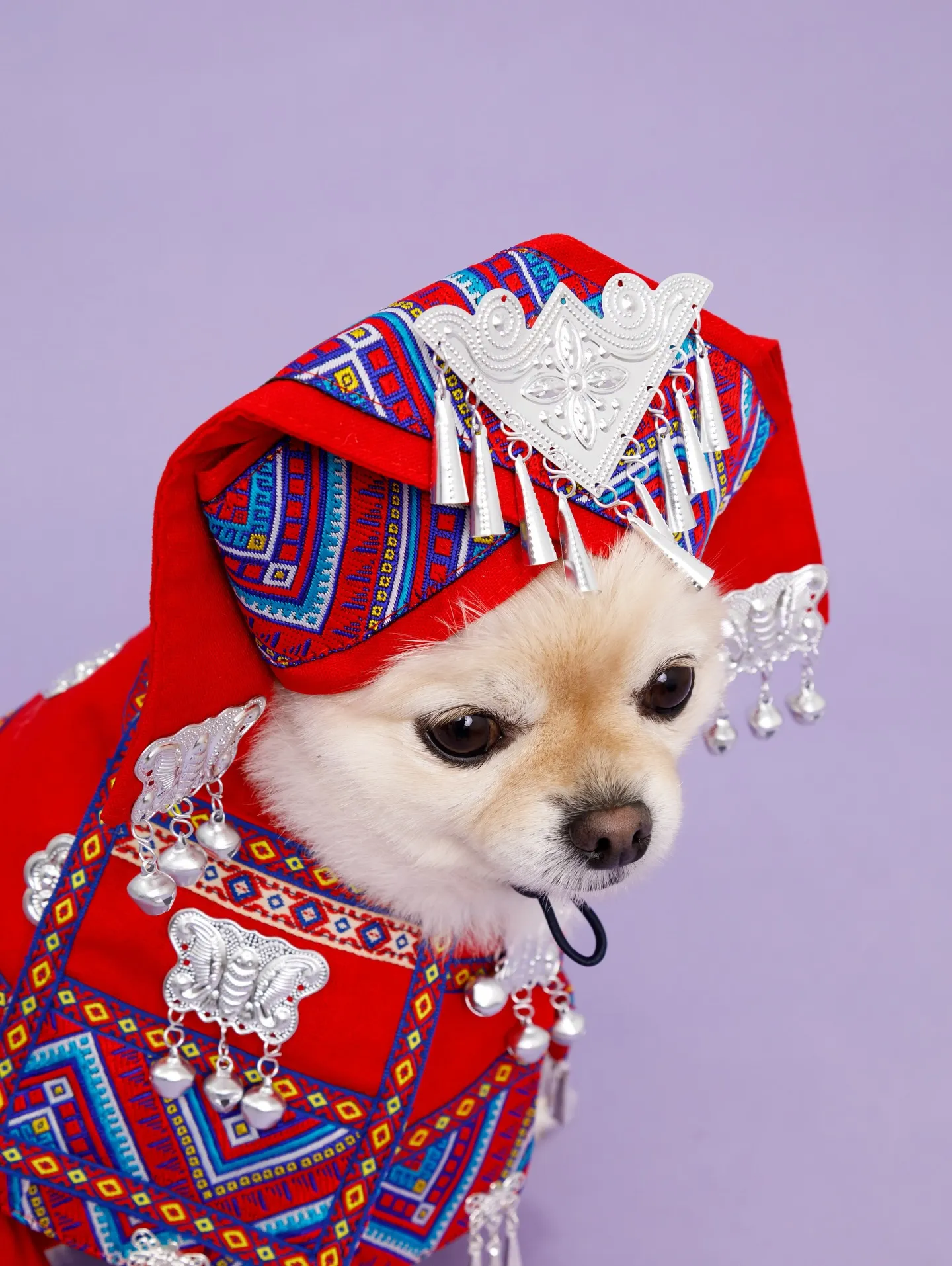 【BIRTHDAY Photoshoot -PURPLE-】