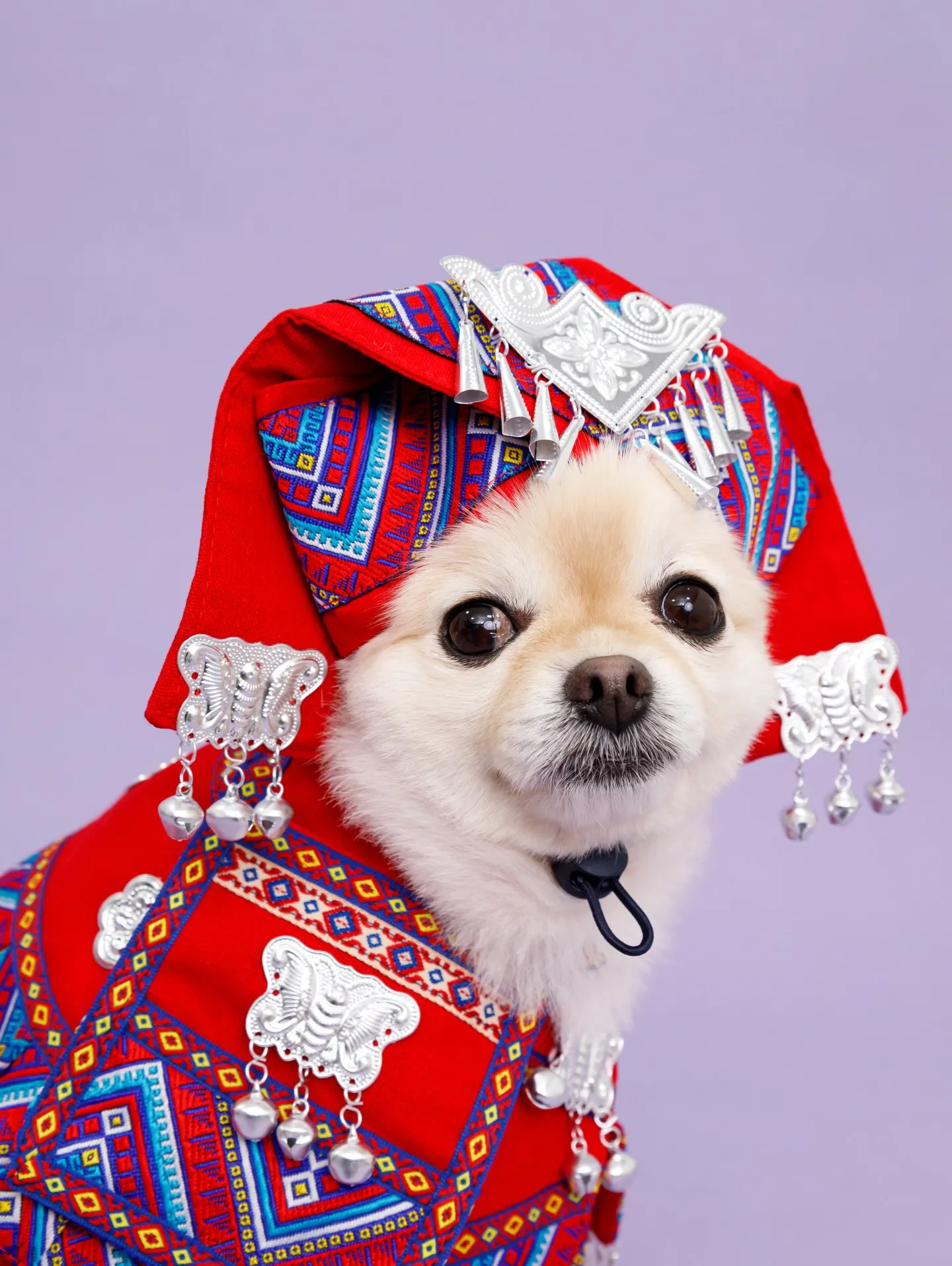 【BIRTHDAY Photoshoot -PURPLE-】