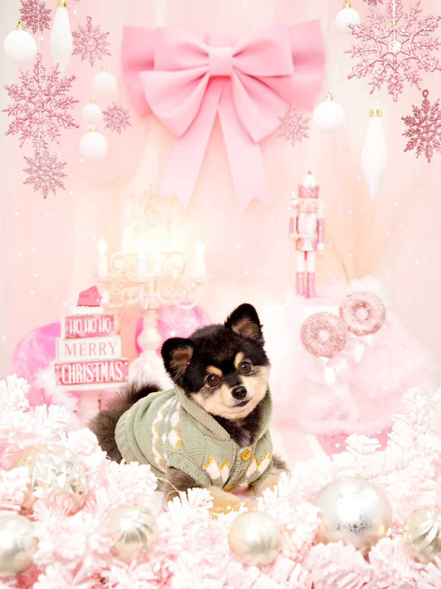 【2025クリスマス🎄ブース〜SWEET🍬Christmas...