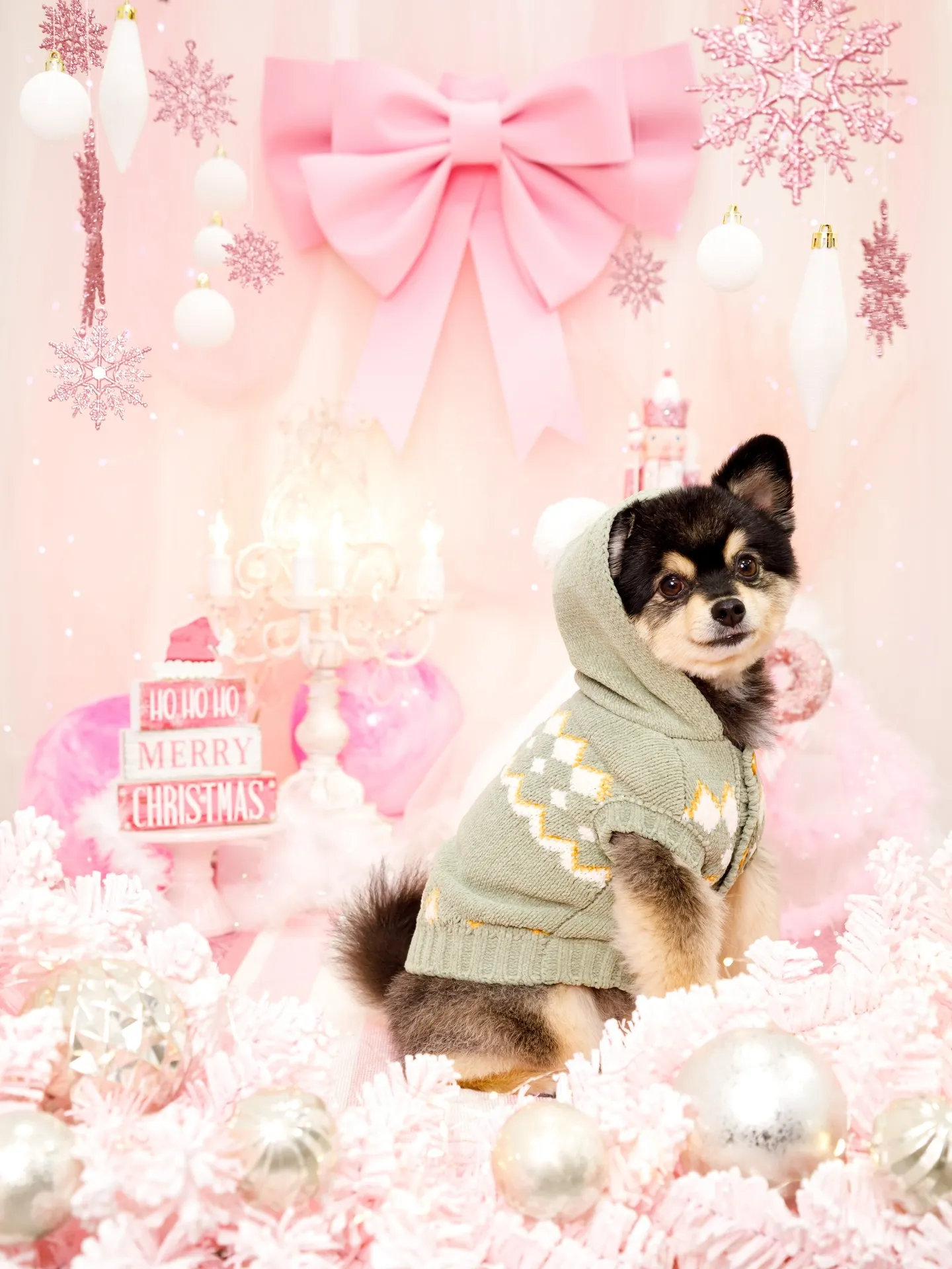 【2025クリスマス🎄ブース〜SWEET🍬Christmas...