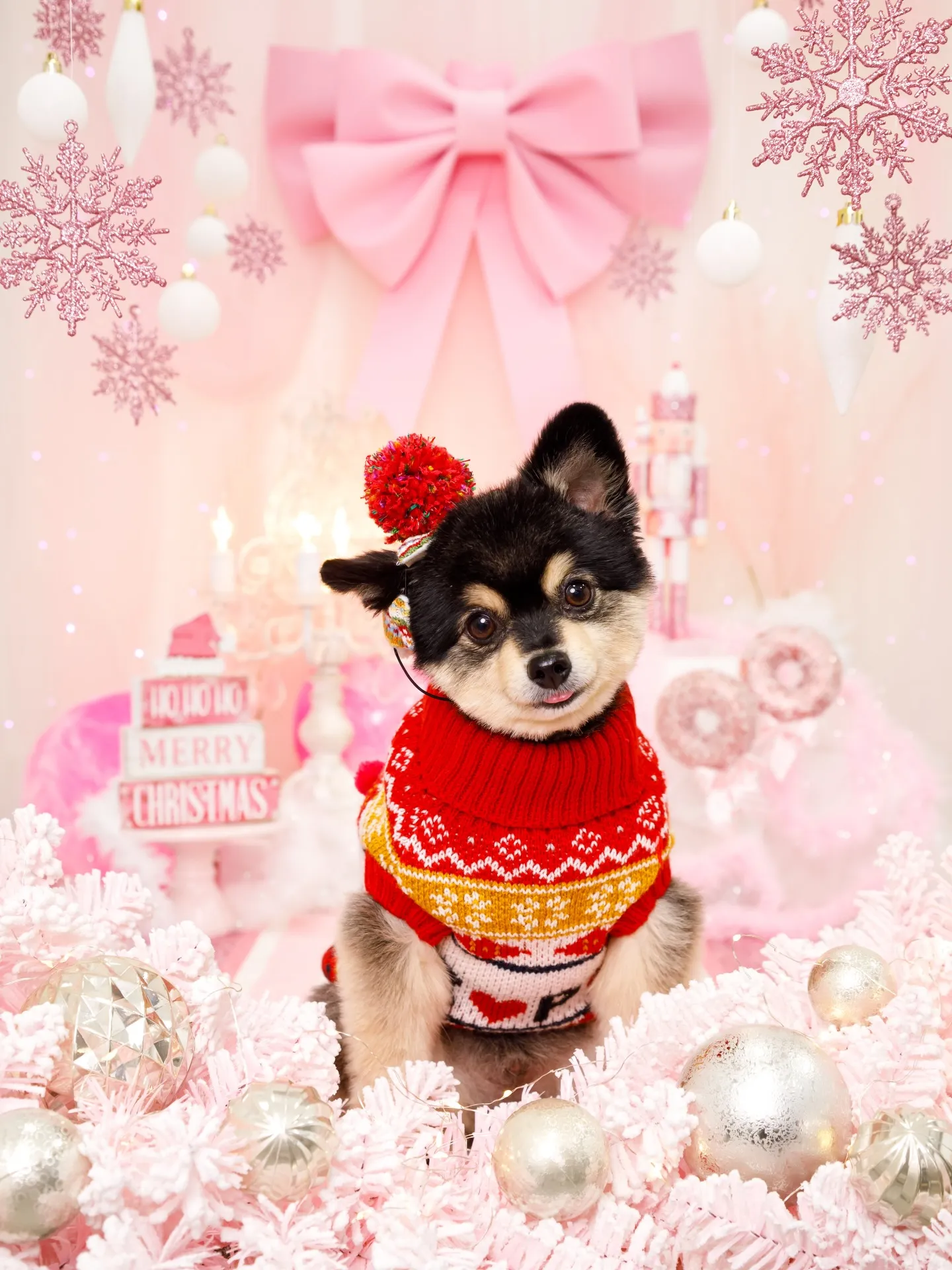 【2025クリスマス🎄ブース〜SWEET🍬Christmas...