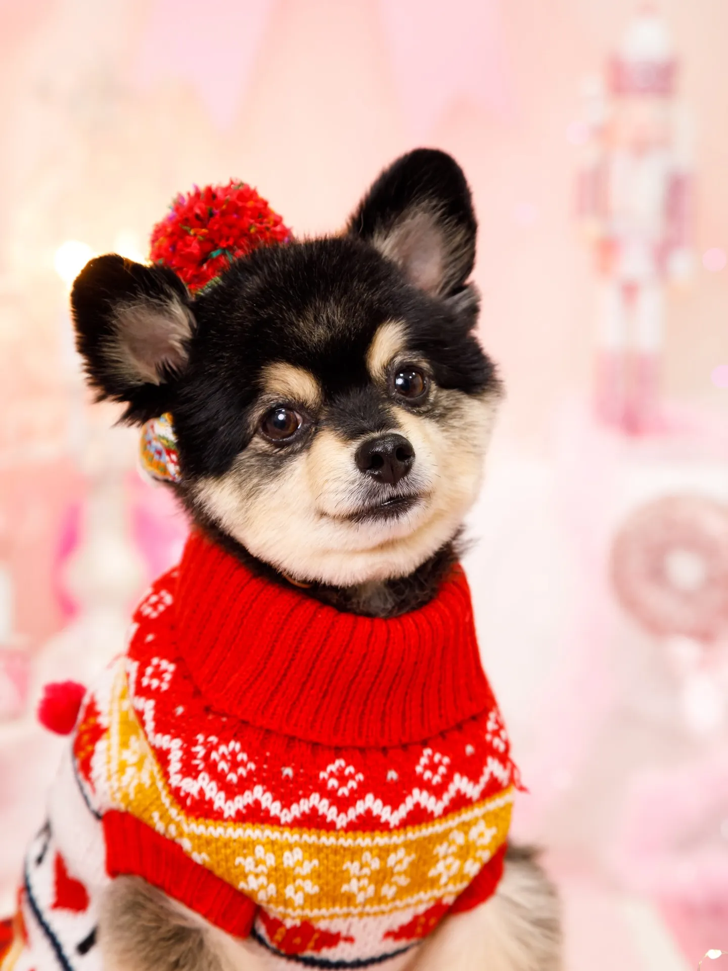 【2025クリスマス🎄ブース〜SWEET🍬Christmas...