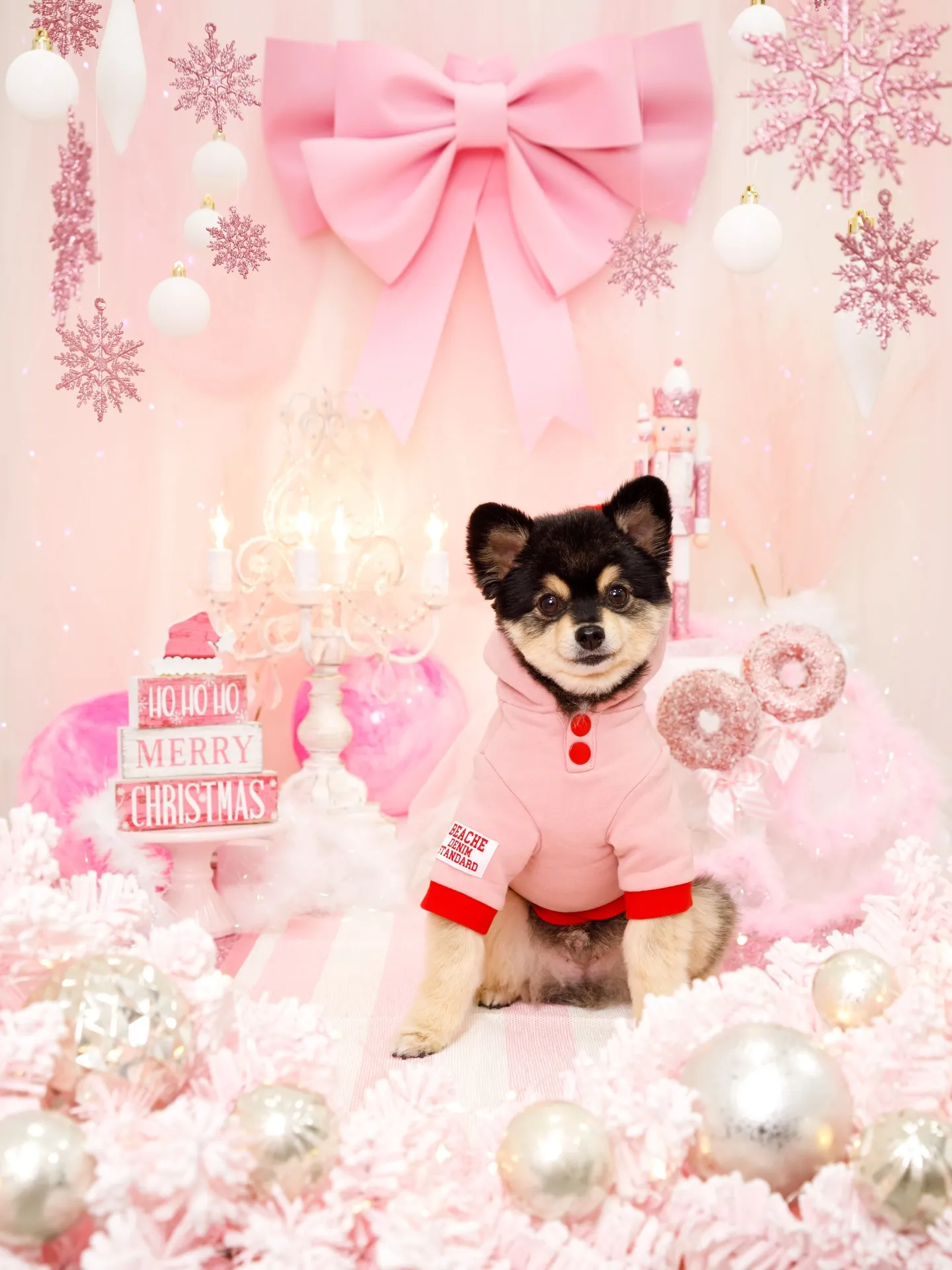 【2025クリスマス🎄ブース〜SWEET🍬Christmas...