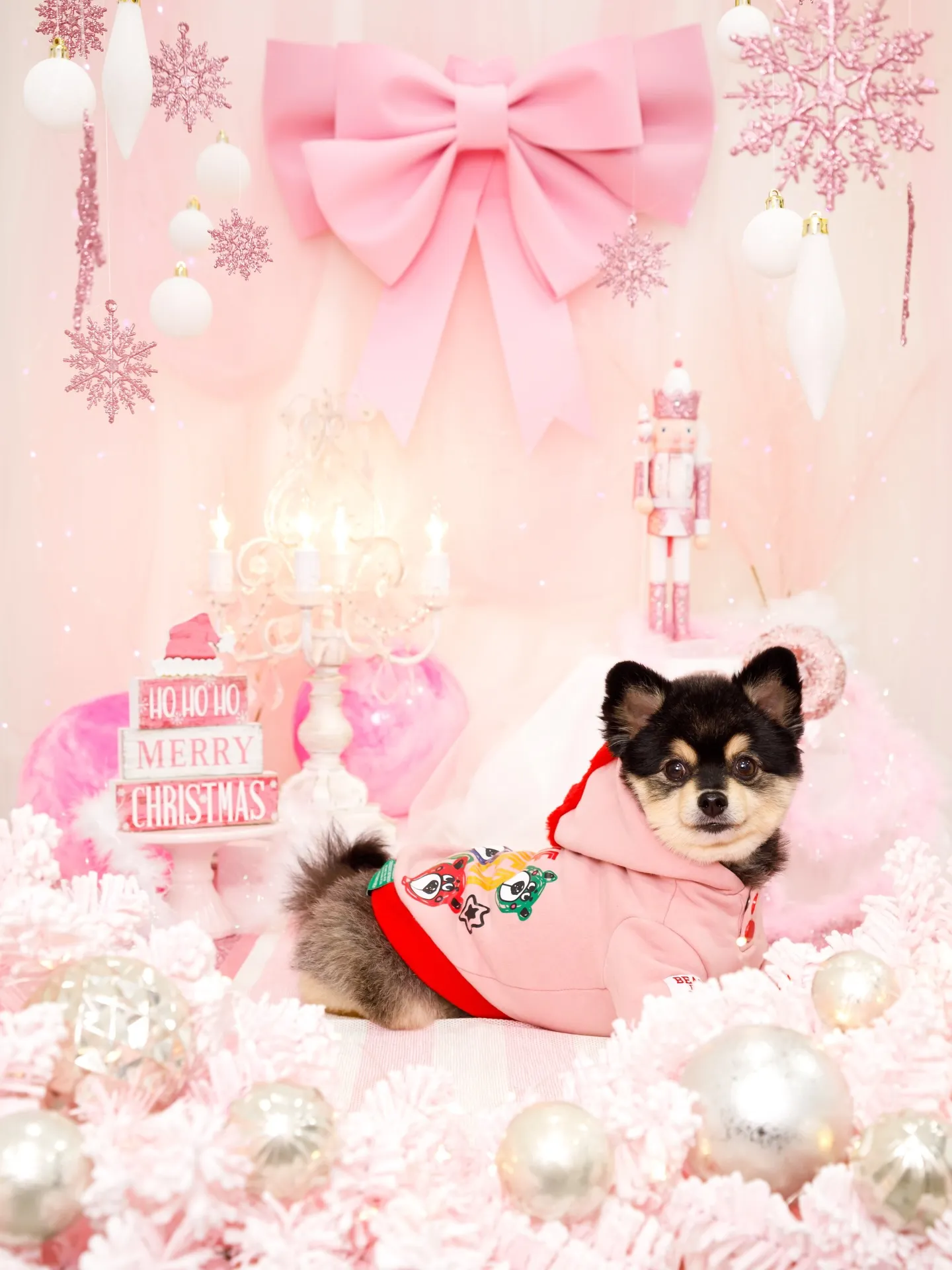 【2025クリスマス🎄ブース〜SWEET🍬Christmas...