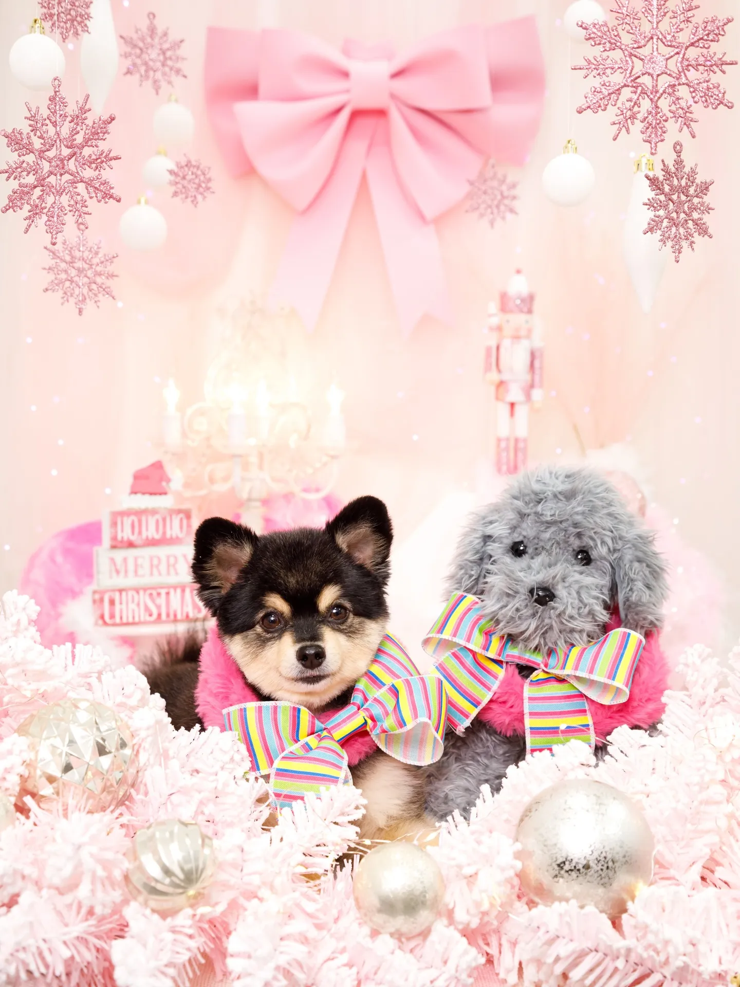 【2025クリスマス🎄ブース〜SWEET🍬Christmas...