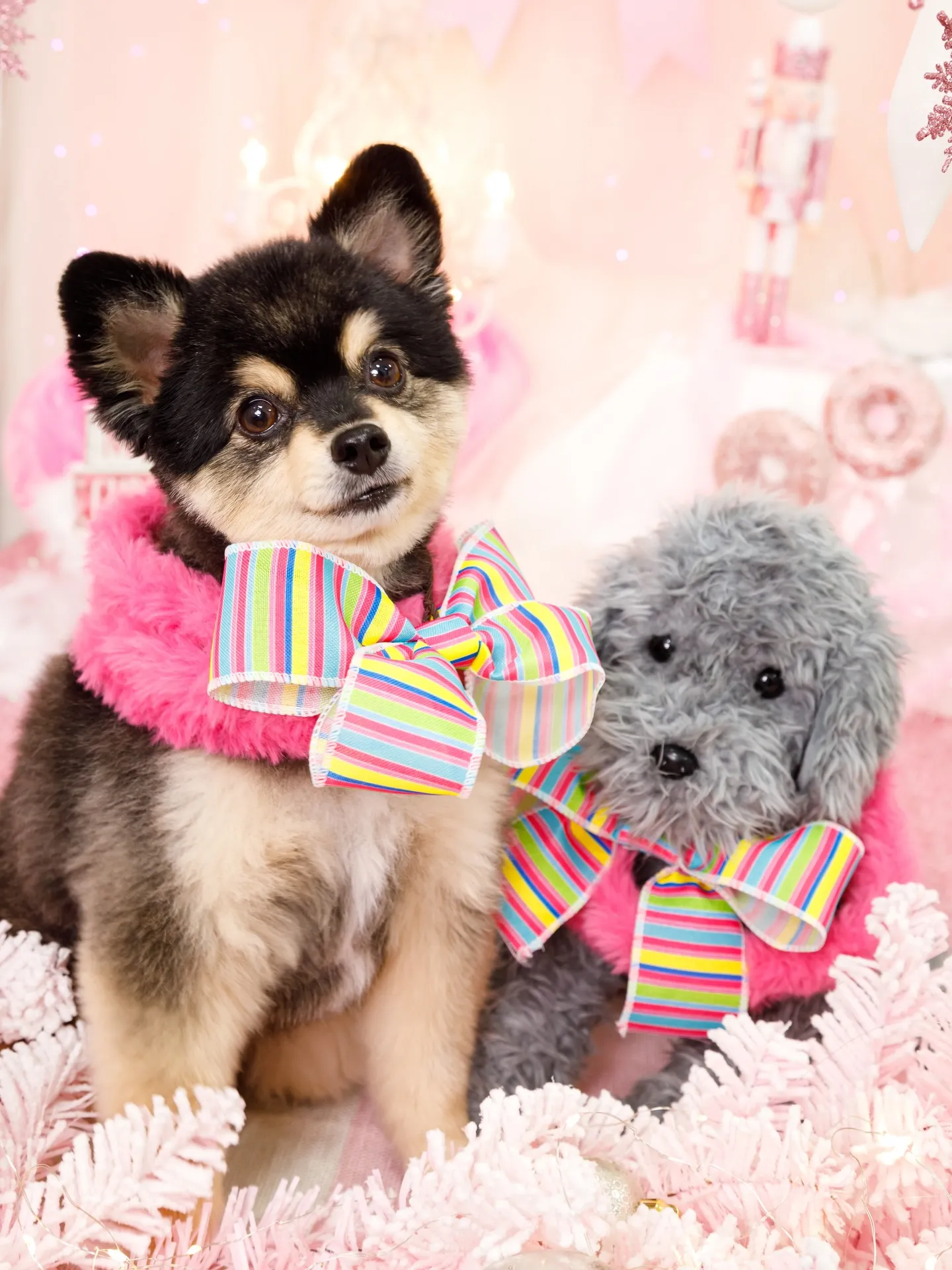 【2025クリスマス🎄ブース〜SWEET🍬Christmas...