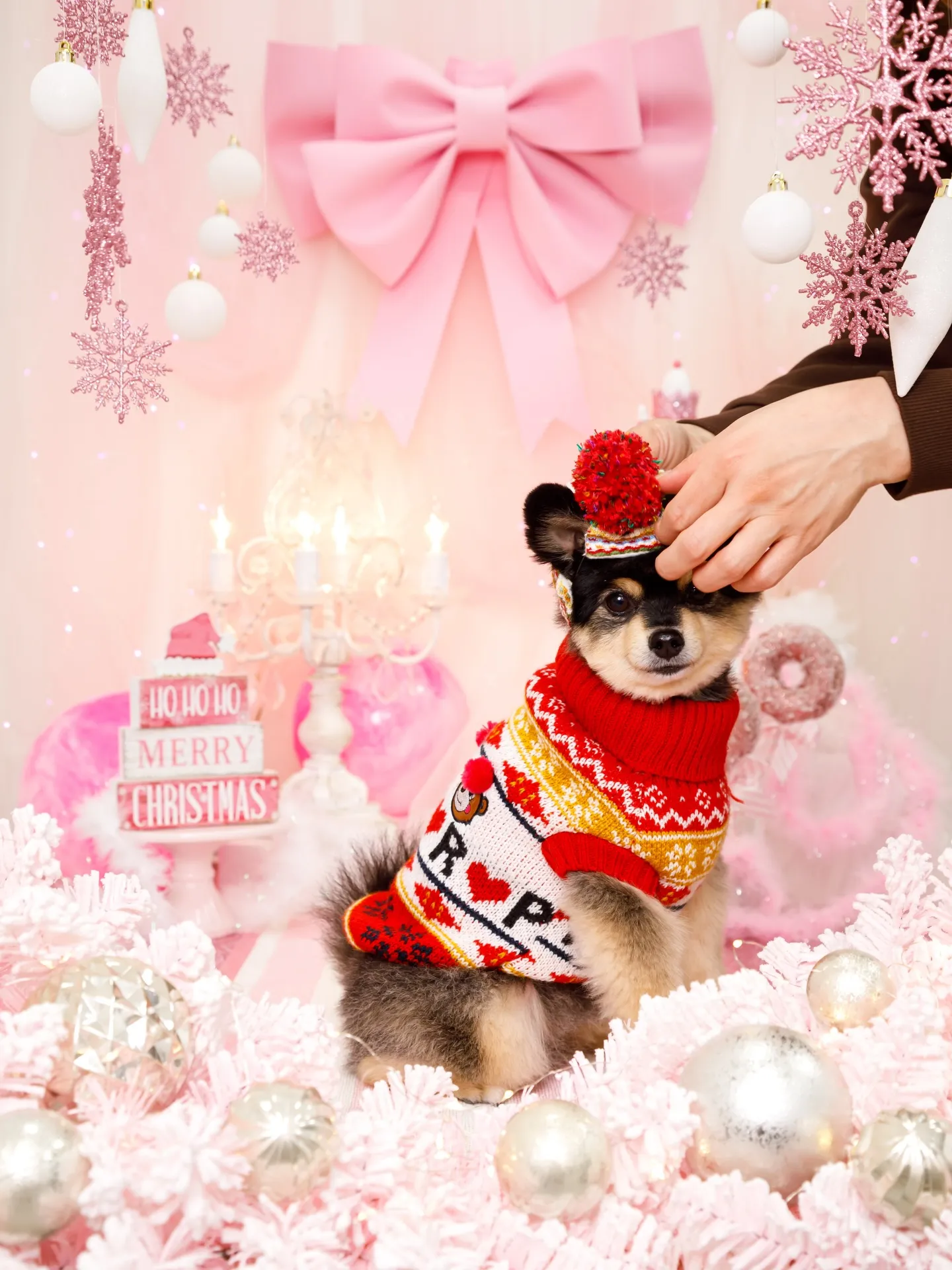 【2025クリスマス🎄ブース〜SWEET🍬Christmas...