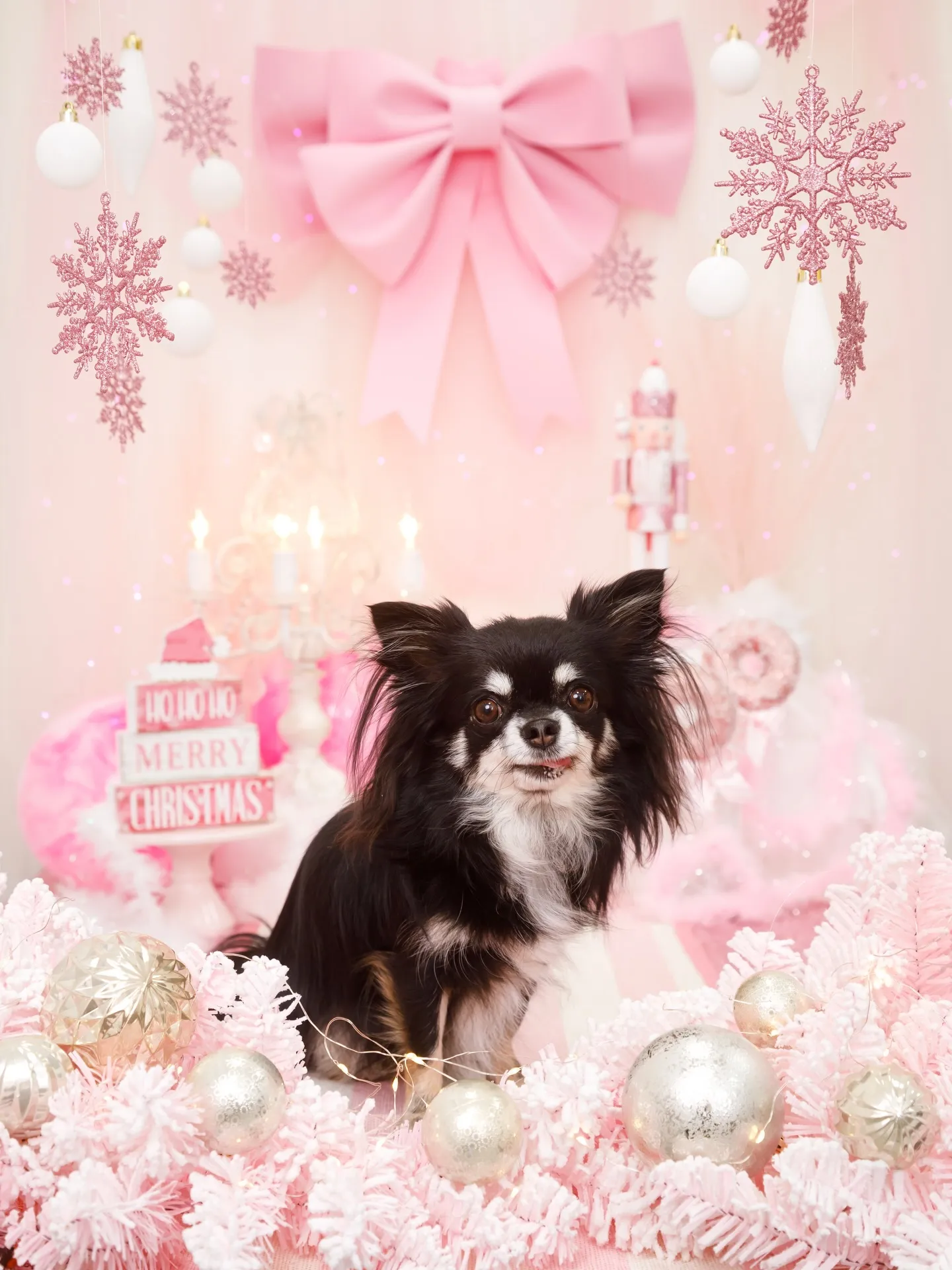 【2025クリスマス🎄ブース〜SWEET🍬Christmas...