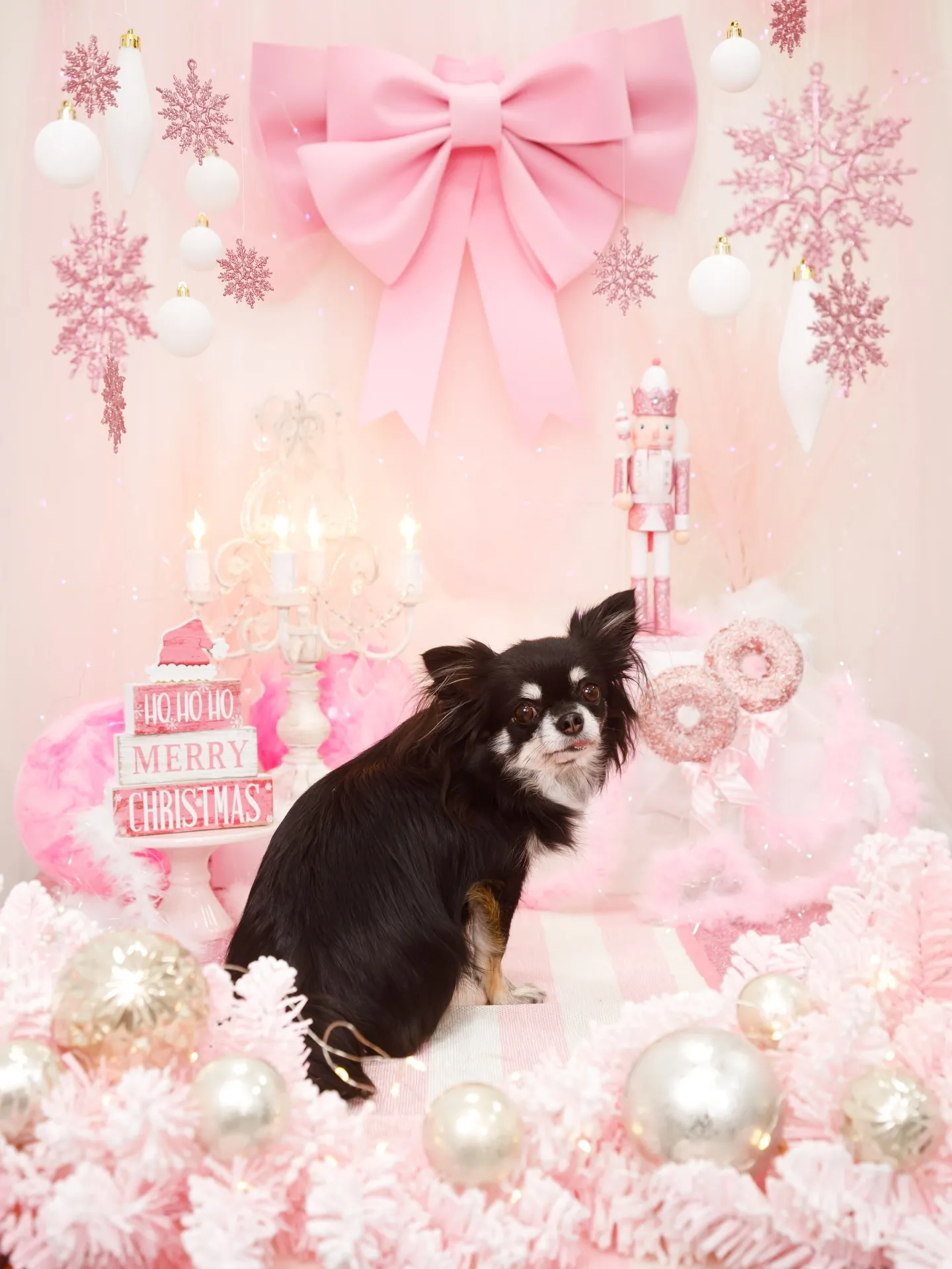 【2025クリスマス🎄ブース〜SWEET🍬Christmas...