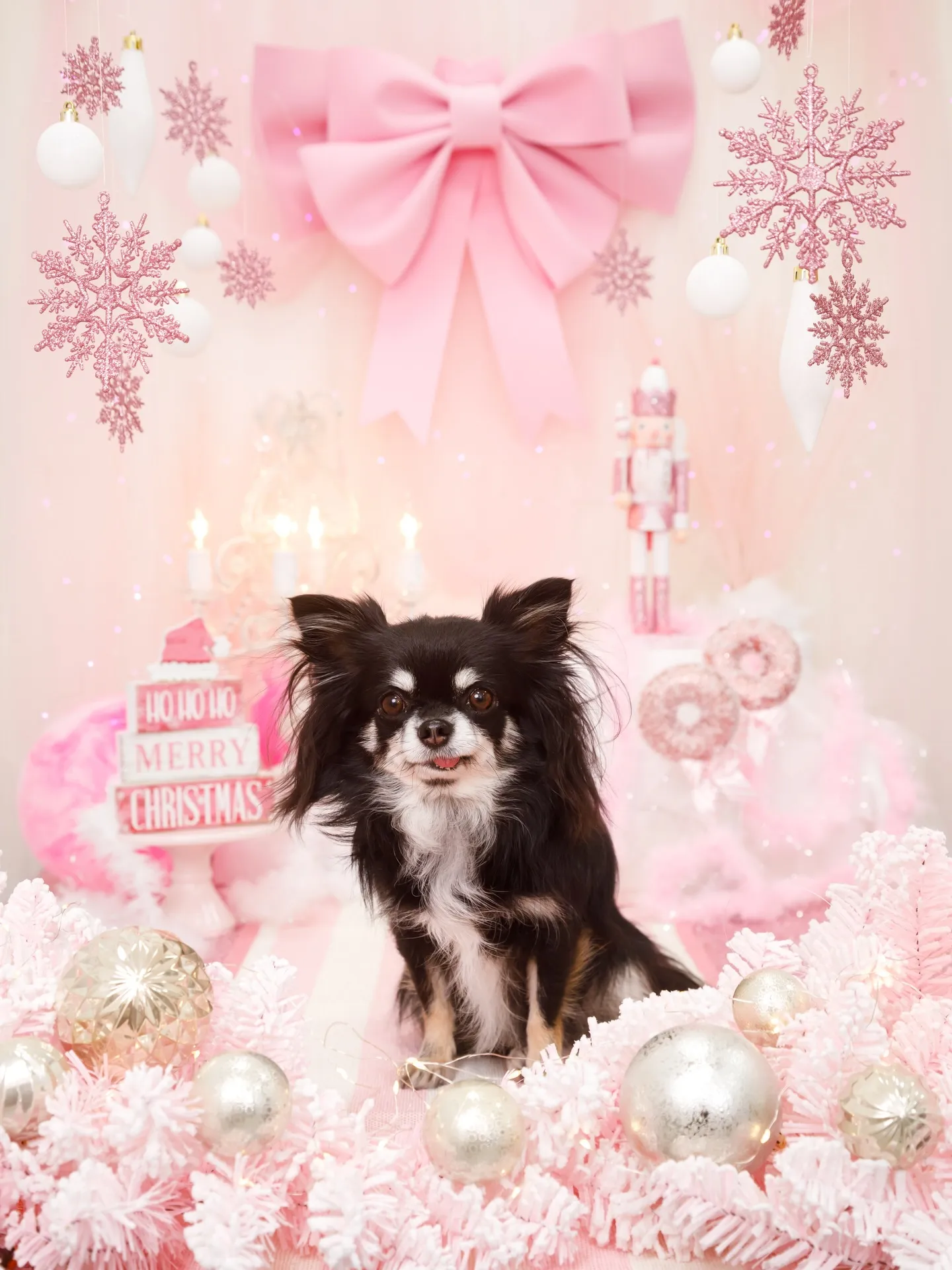 【2025クリスマス🎄ブース〜SWEET🍬Christmas...