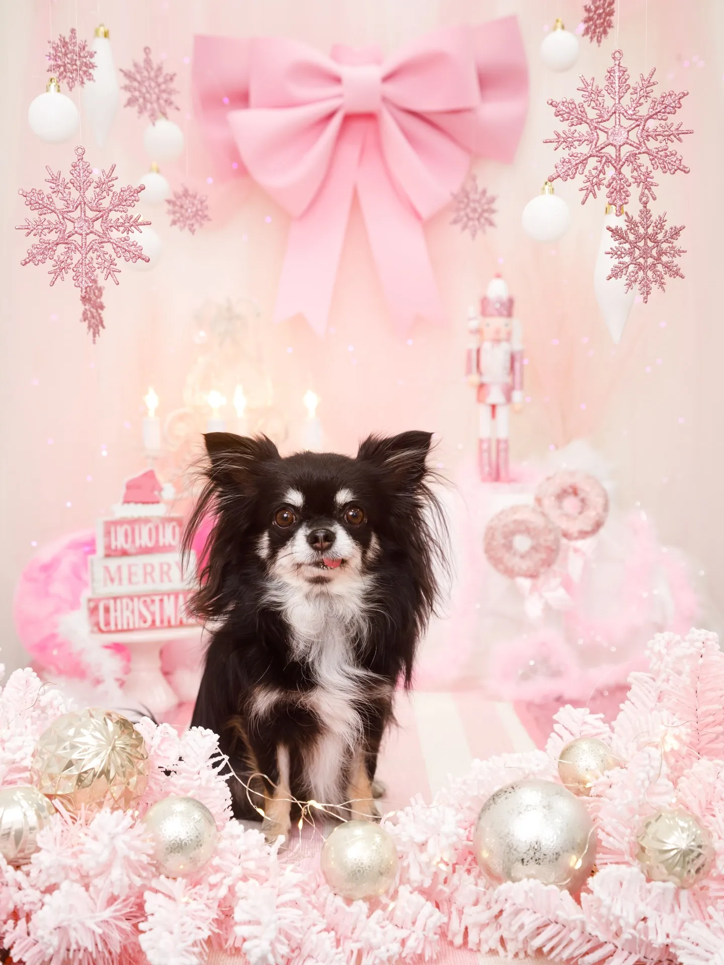 【2025クリスマス🎄ブース〜SWEET🍬Christmas...