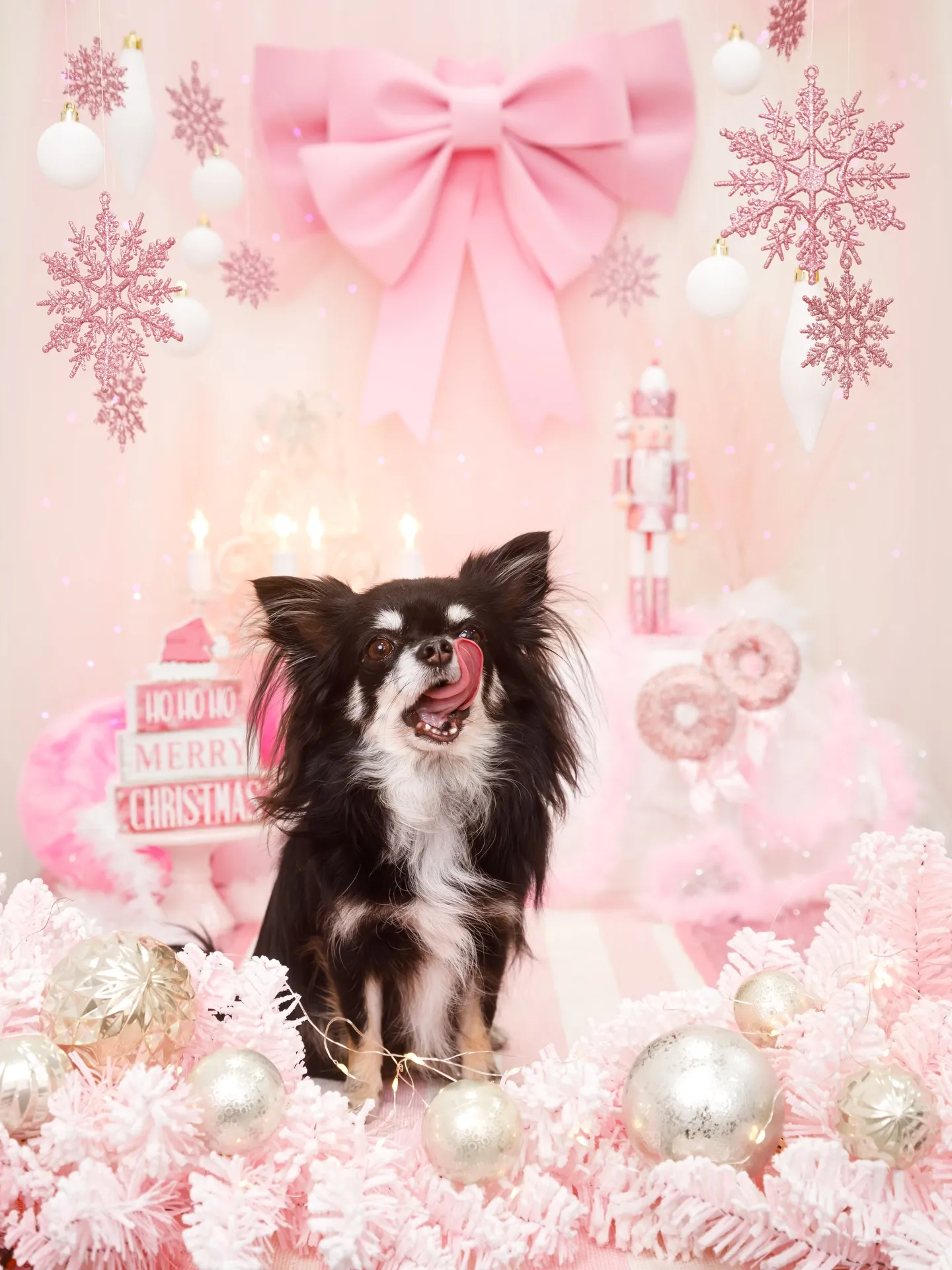 【2025クリスマス🎄ブース〜SWEET🍬Christmas...