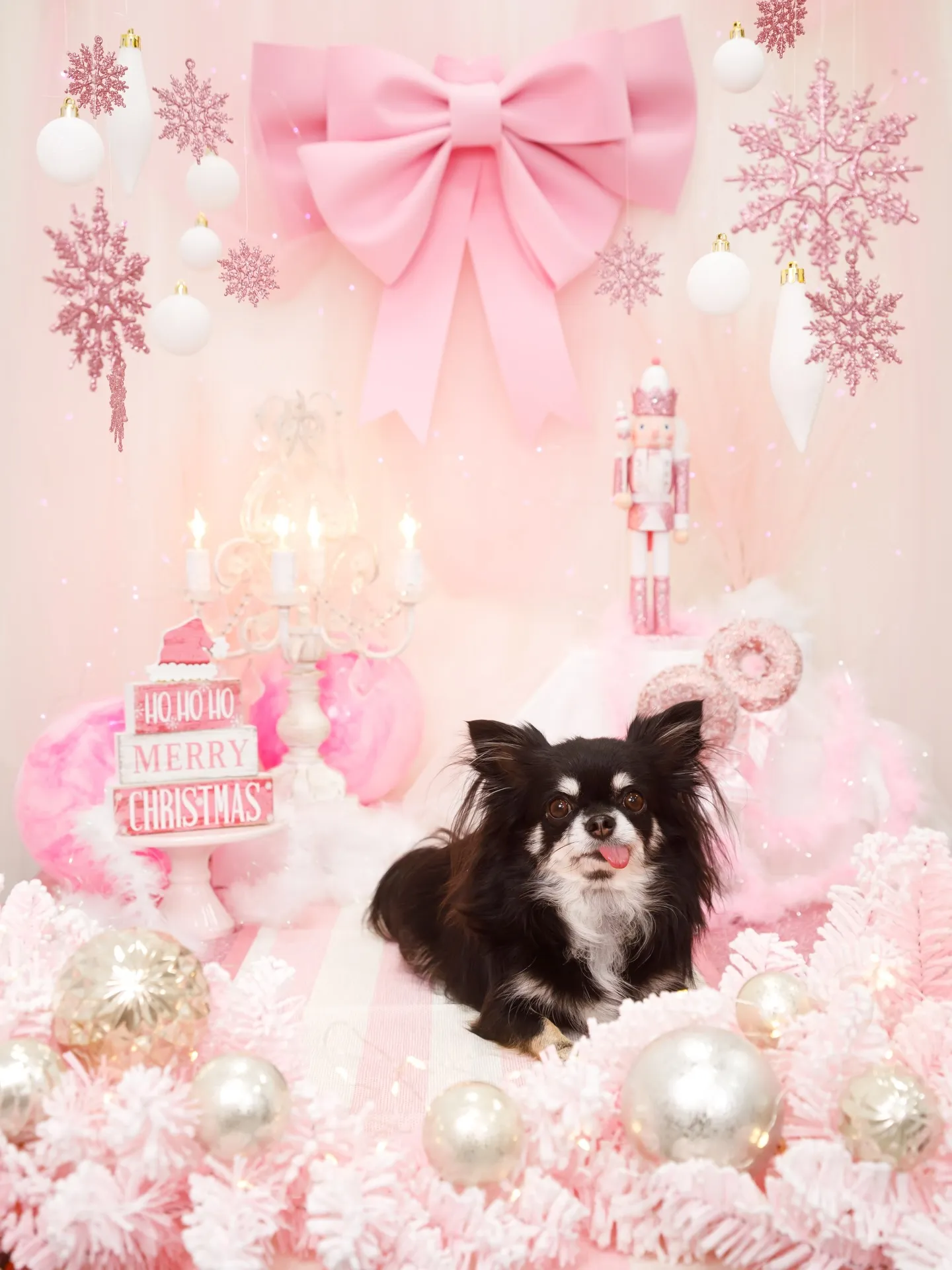 【2025クリスマス🎄ブース〜SWEET🍬Christmas...