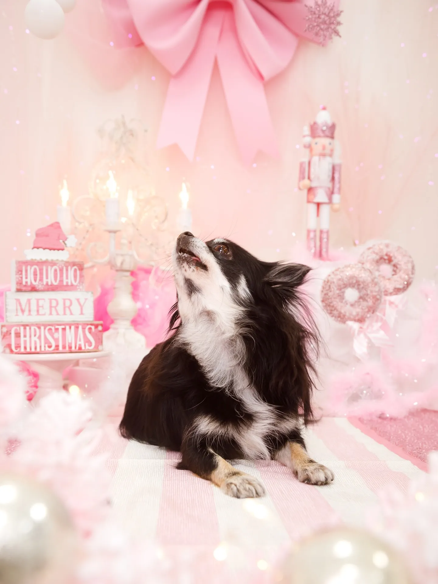 【2025クリスマス🎄ブース〜SWEET🍬Christmas...