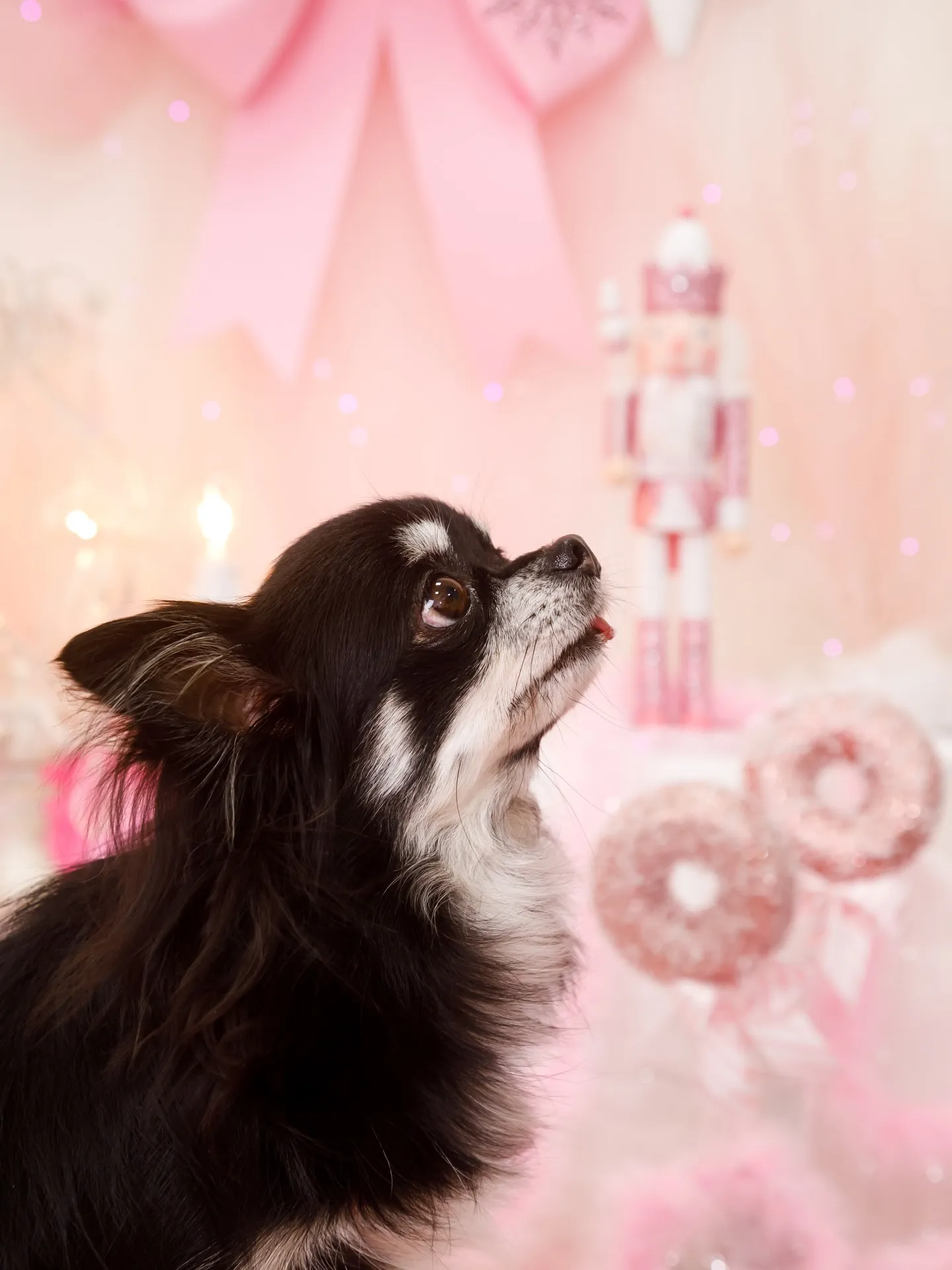 【2025クリスマス🎄ブース〜SWEET🍬Christmas...