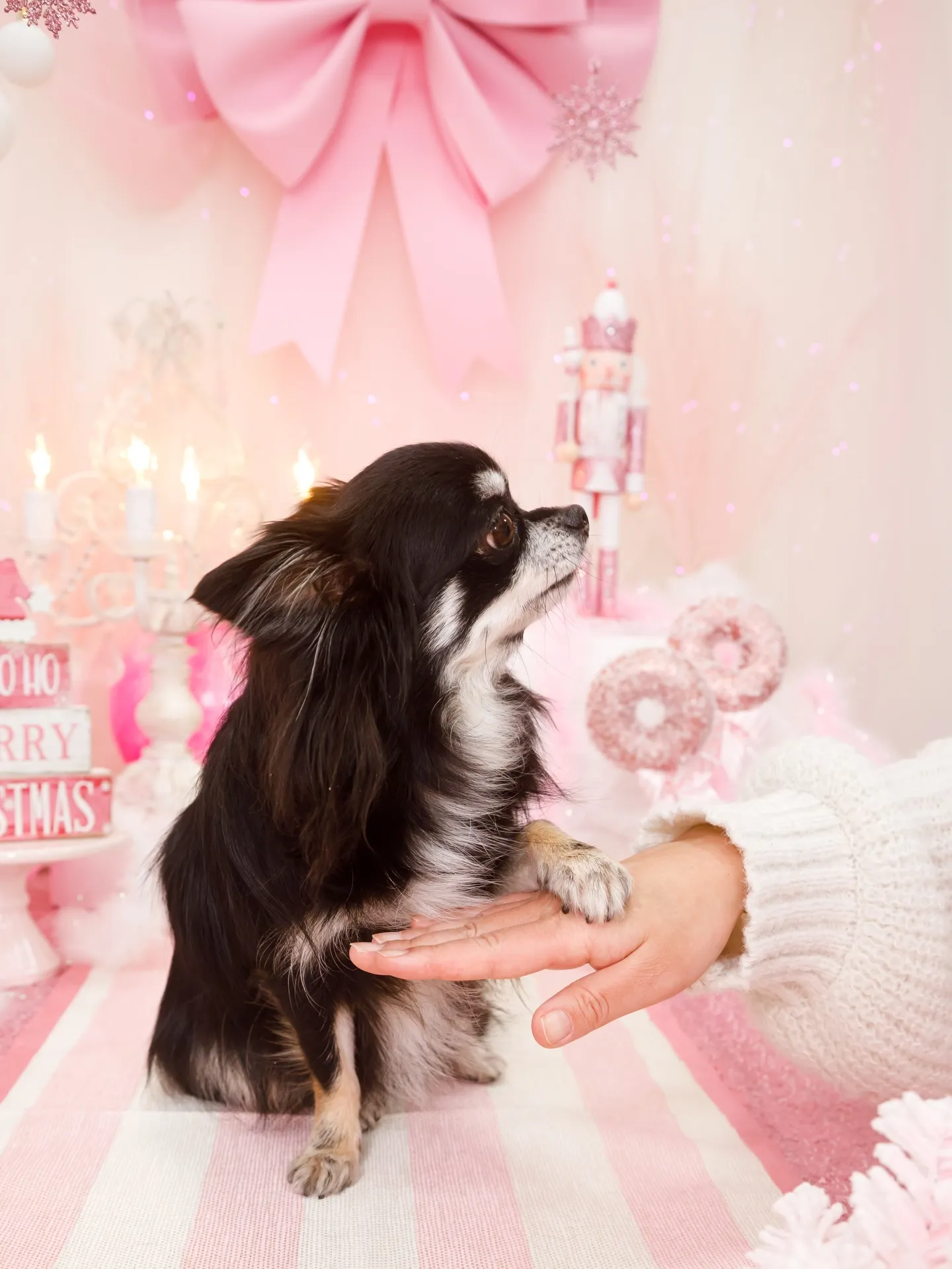 【2025クリスマス🎄ブース〜SWEET🍬Christmas...