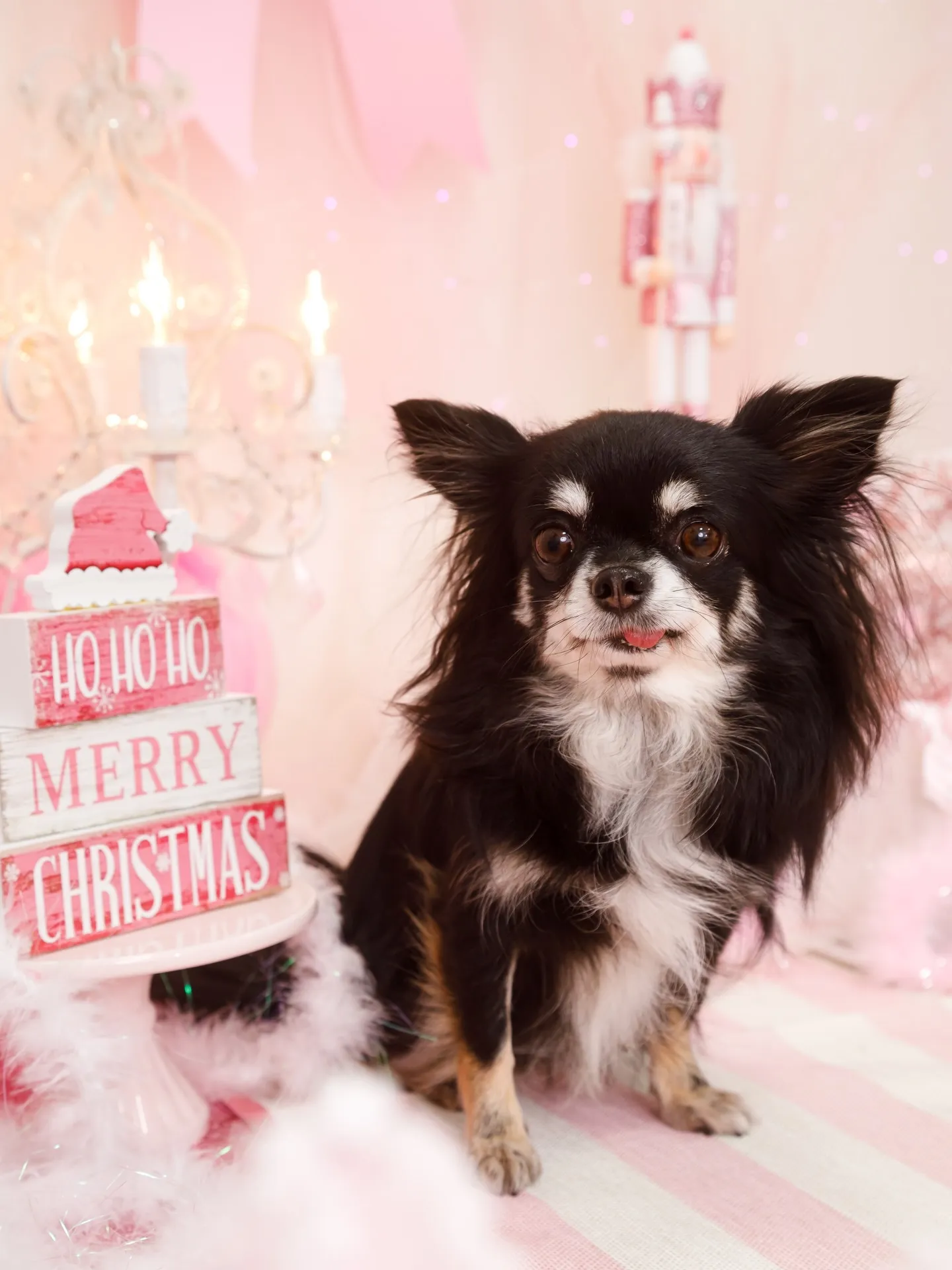 【2025クリスマス🎄ブース〜SWEET🍬Christmas...