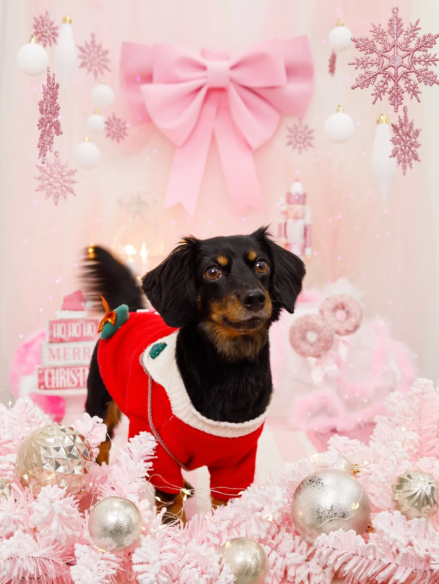 【2025クリスマス🎄ブース〜SWEET🍬Christmas...