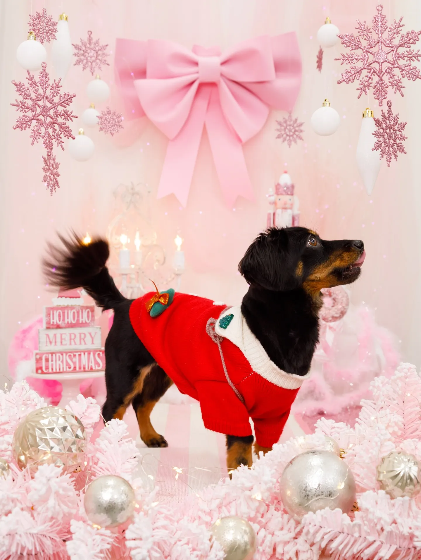 【2025クリスマス🎄ブース〜SWEET🍬Christmas...