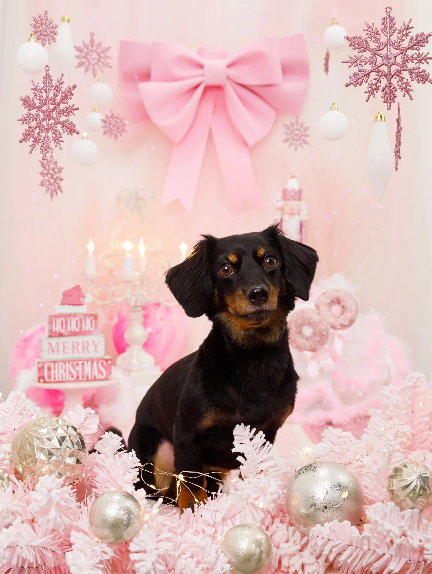 【2025クリスマス🎄ブース〜SWEET🍬Christmas...