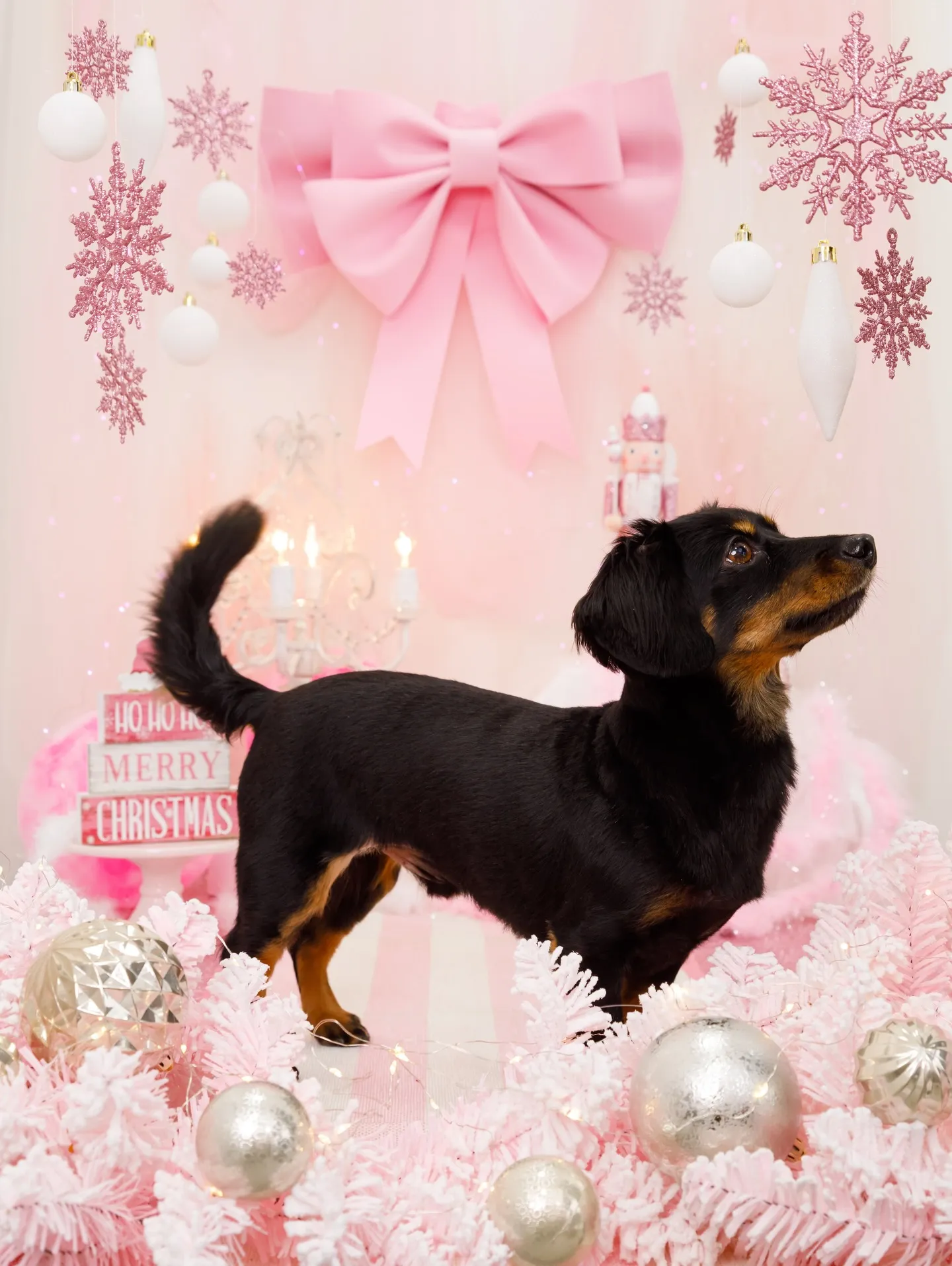 【2025クリスマス🎄ブース〜SWEET🍬Christmas...