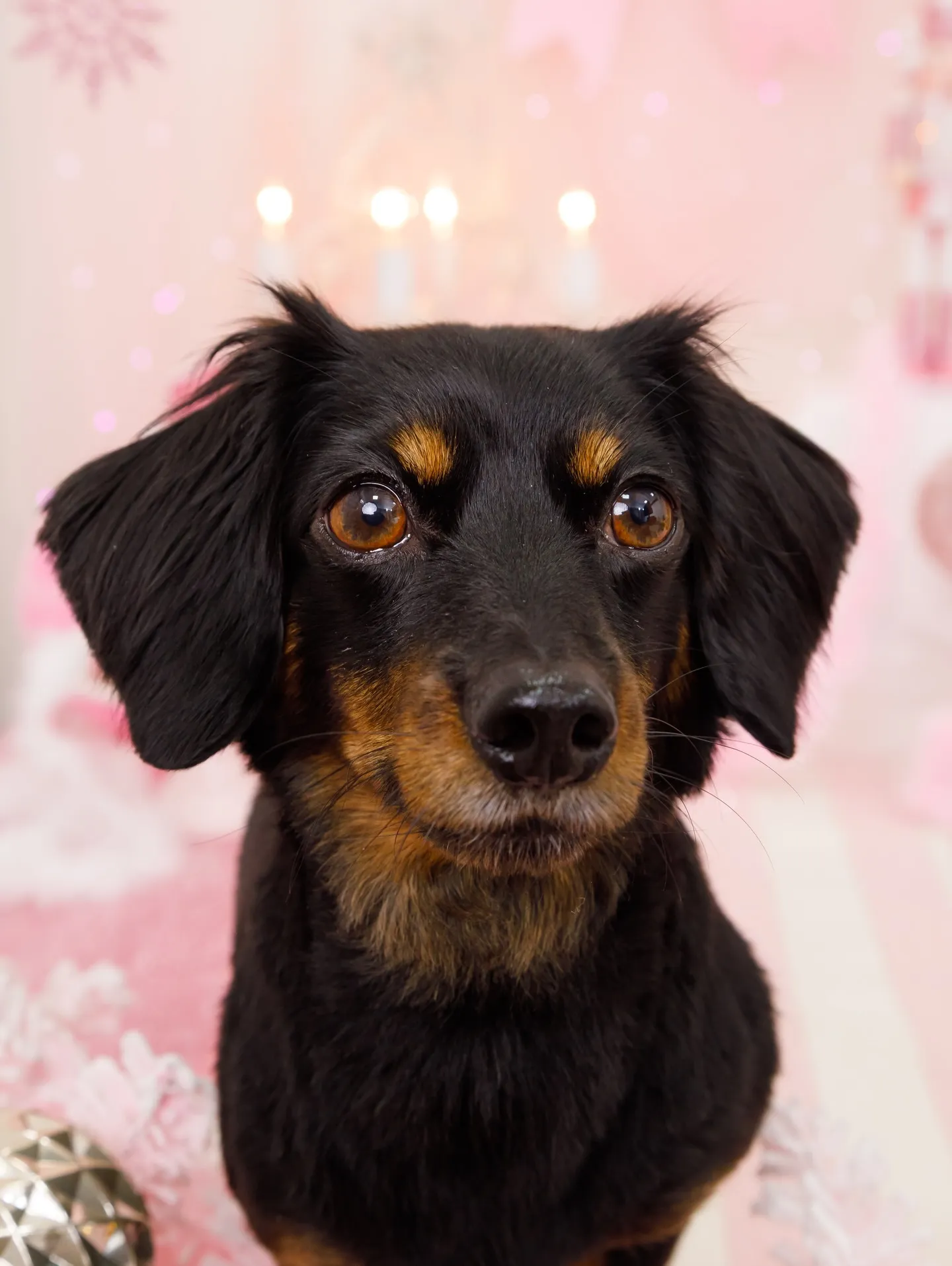 【2025クリスマス🎄ブース〜SWEET🍬Christmas...