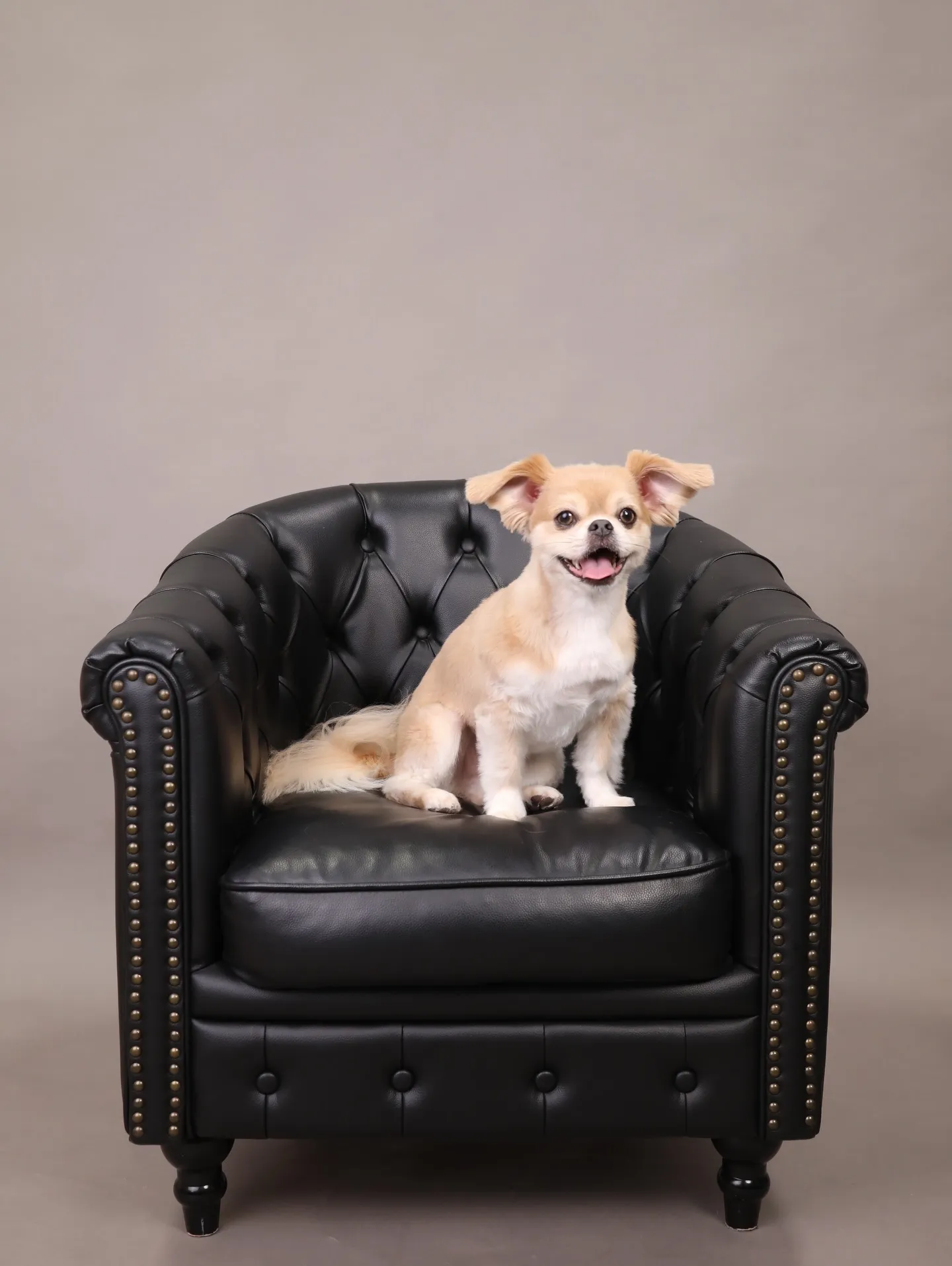 【GRAY Backdrop -& BLACK Sofa-】