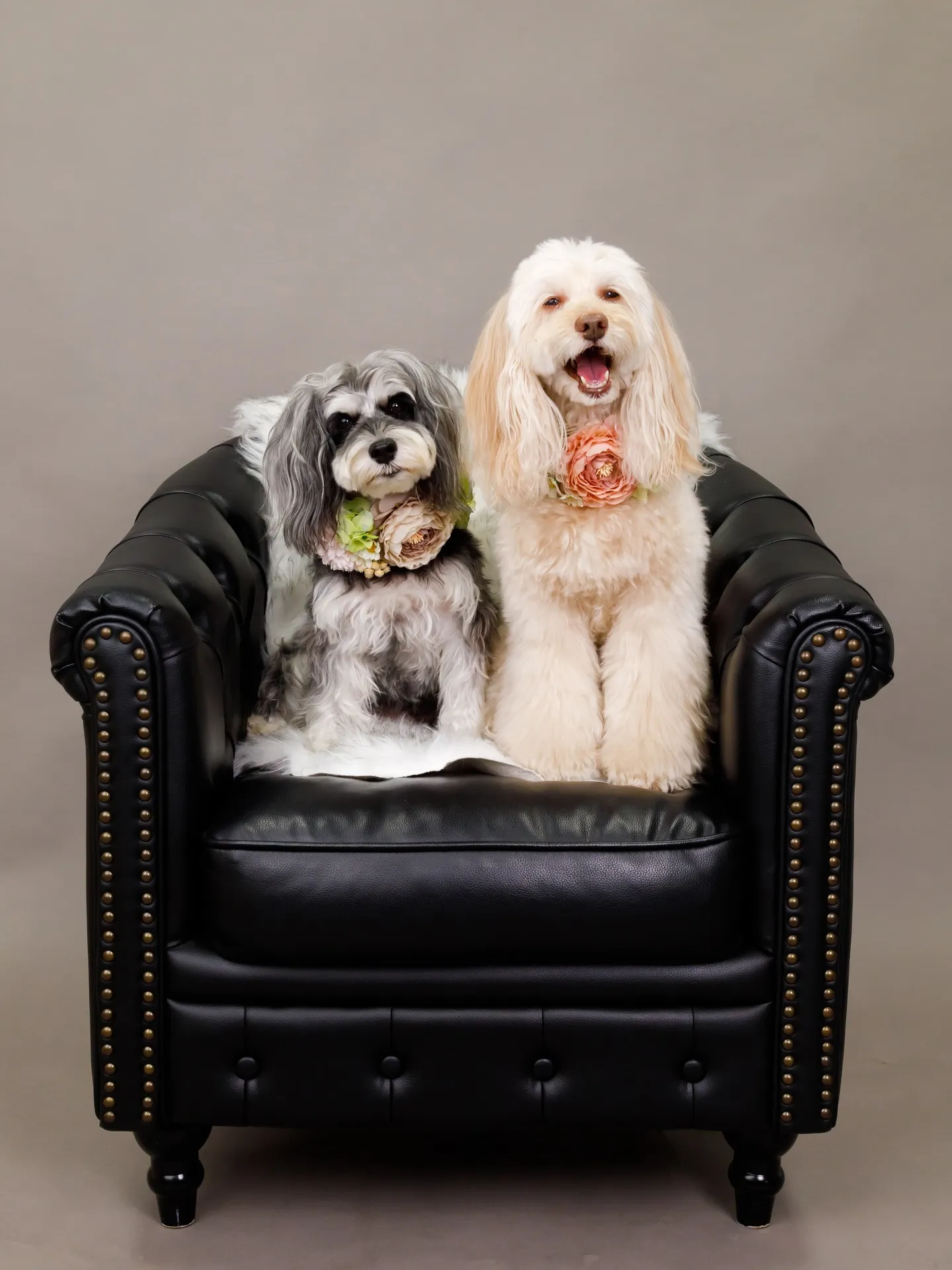 【GRAY Backdrop -& BLACK Sofa-】