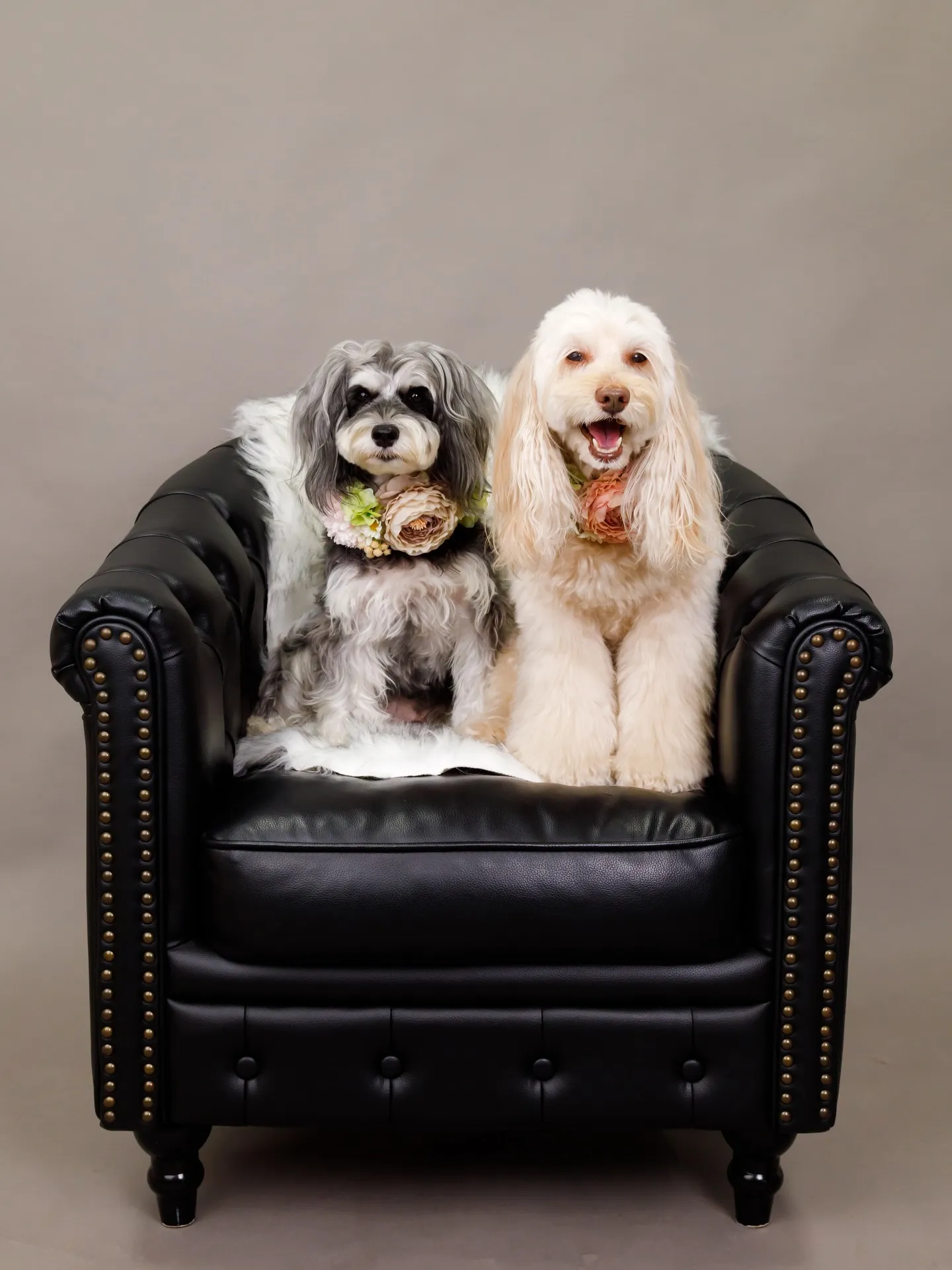 【GRAY Backdrop -& BLACK Sofa-】