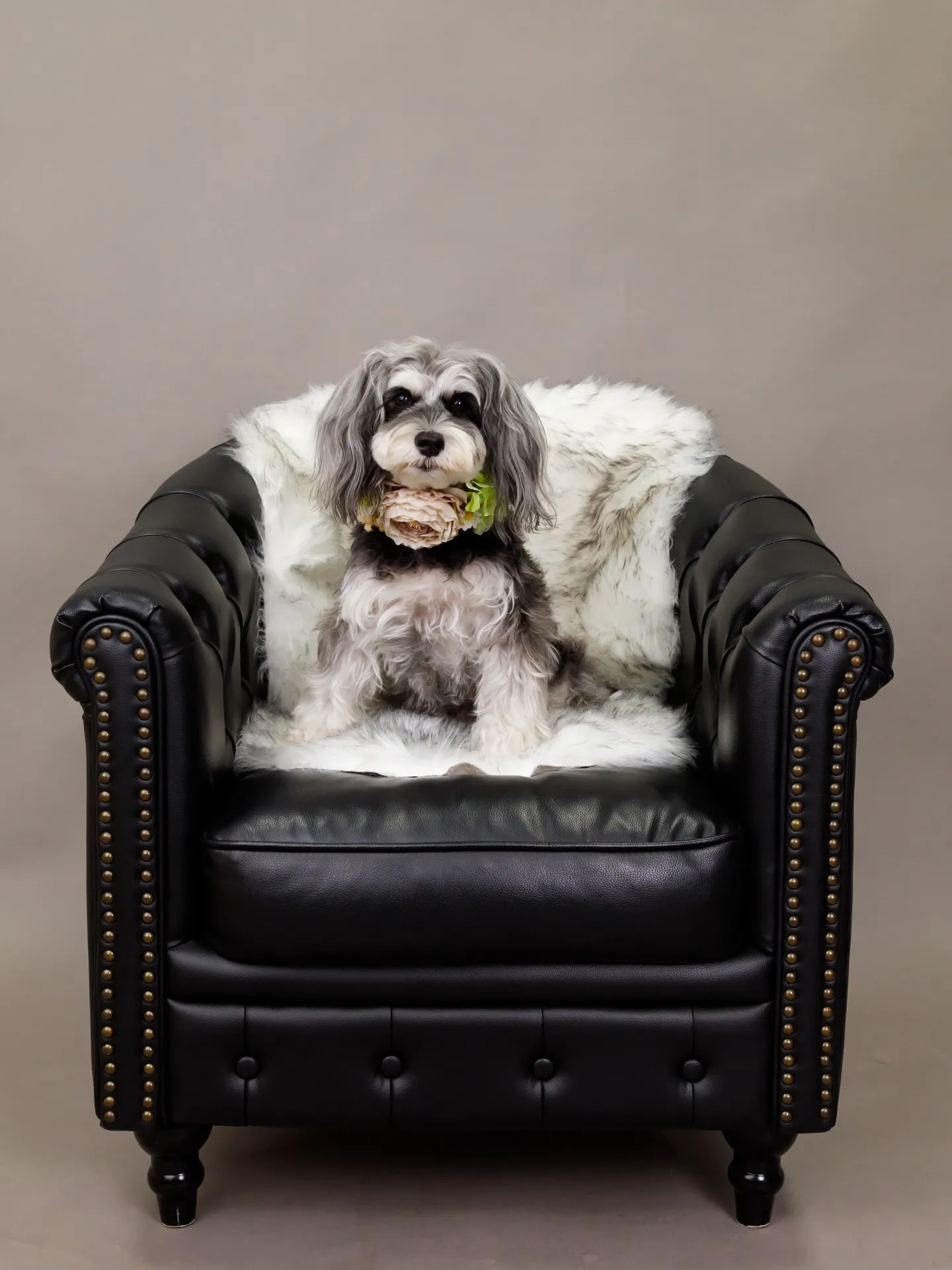 【GRAY Backdrop -& BLACK Sofa-】