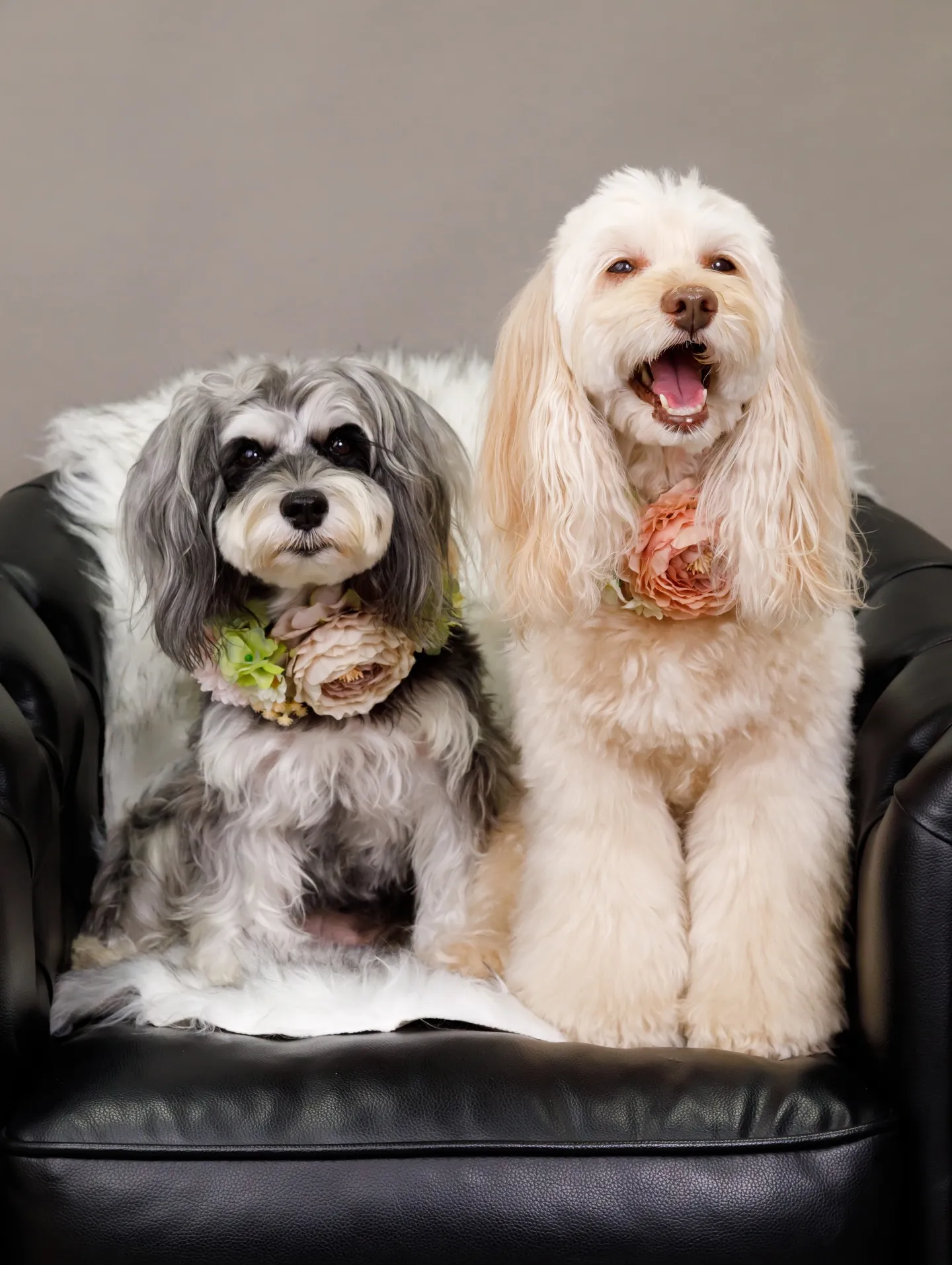 【GRAY Backdrop -& BLACK Sofa-】